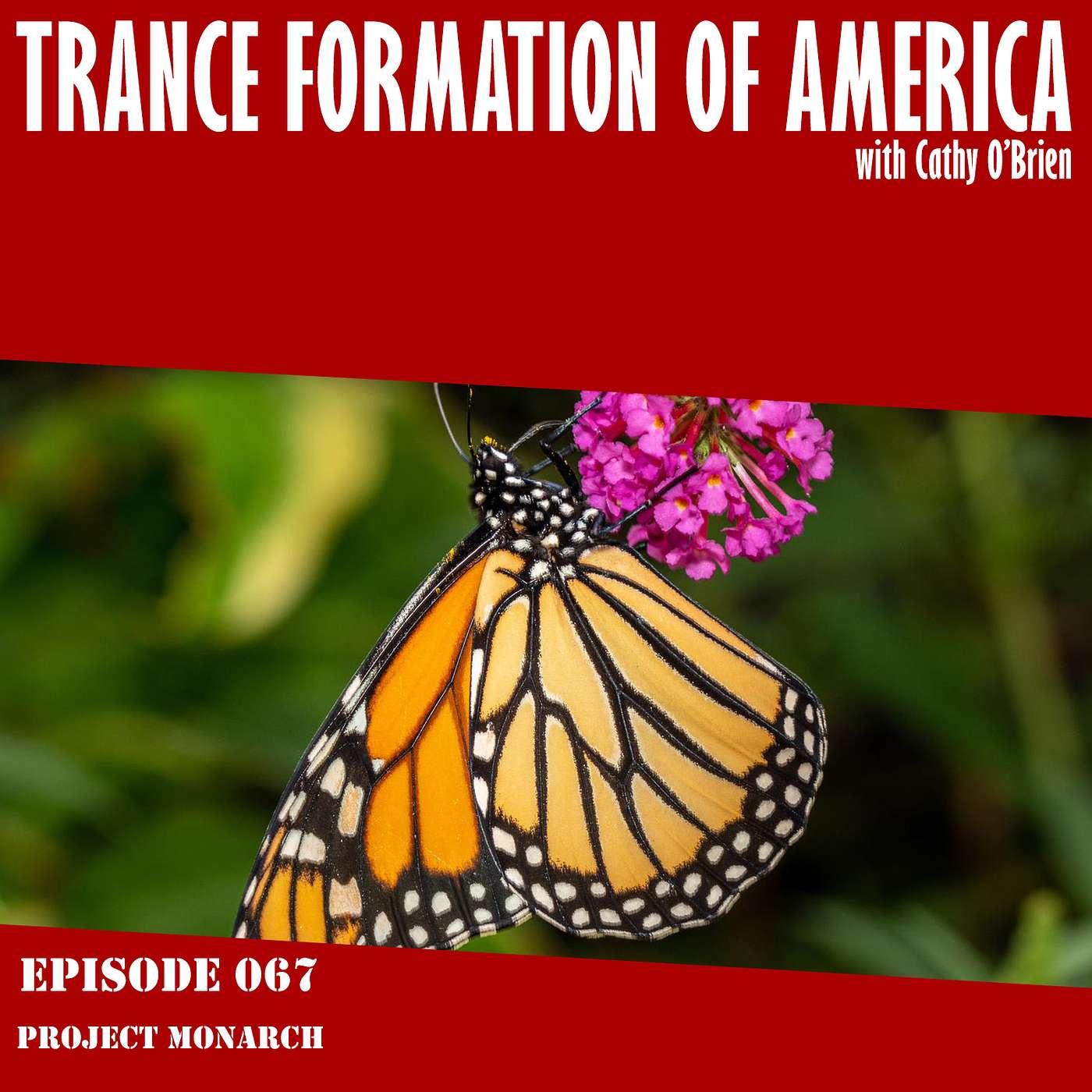 Trance Formation Podcast