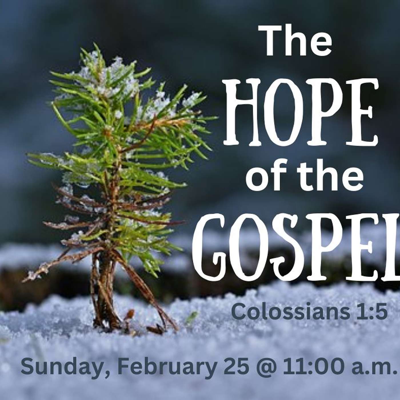 The Hope Of The Gospel