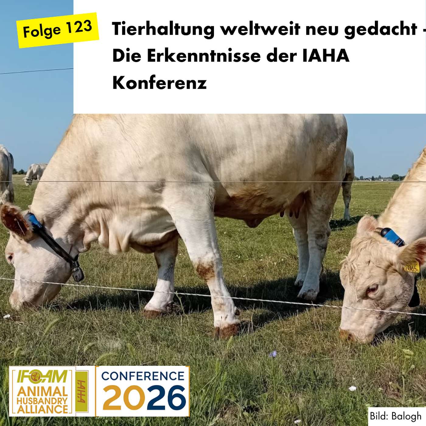 Tierhaltung weltweit neu gedacht – Die Erkenntnisse der IAHA Konferenz episode artwork