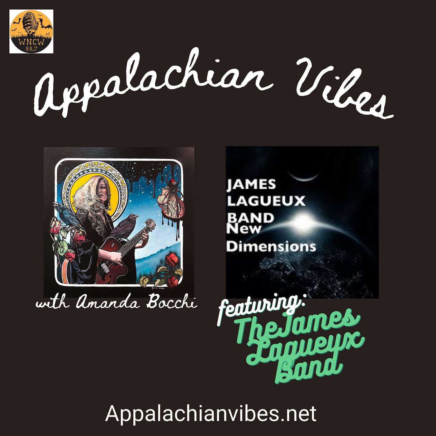 Appalachian Vibes Radio Show