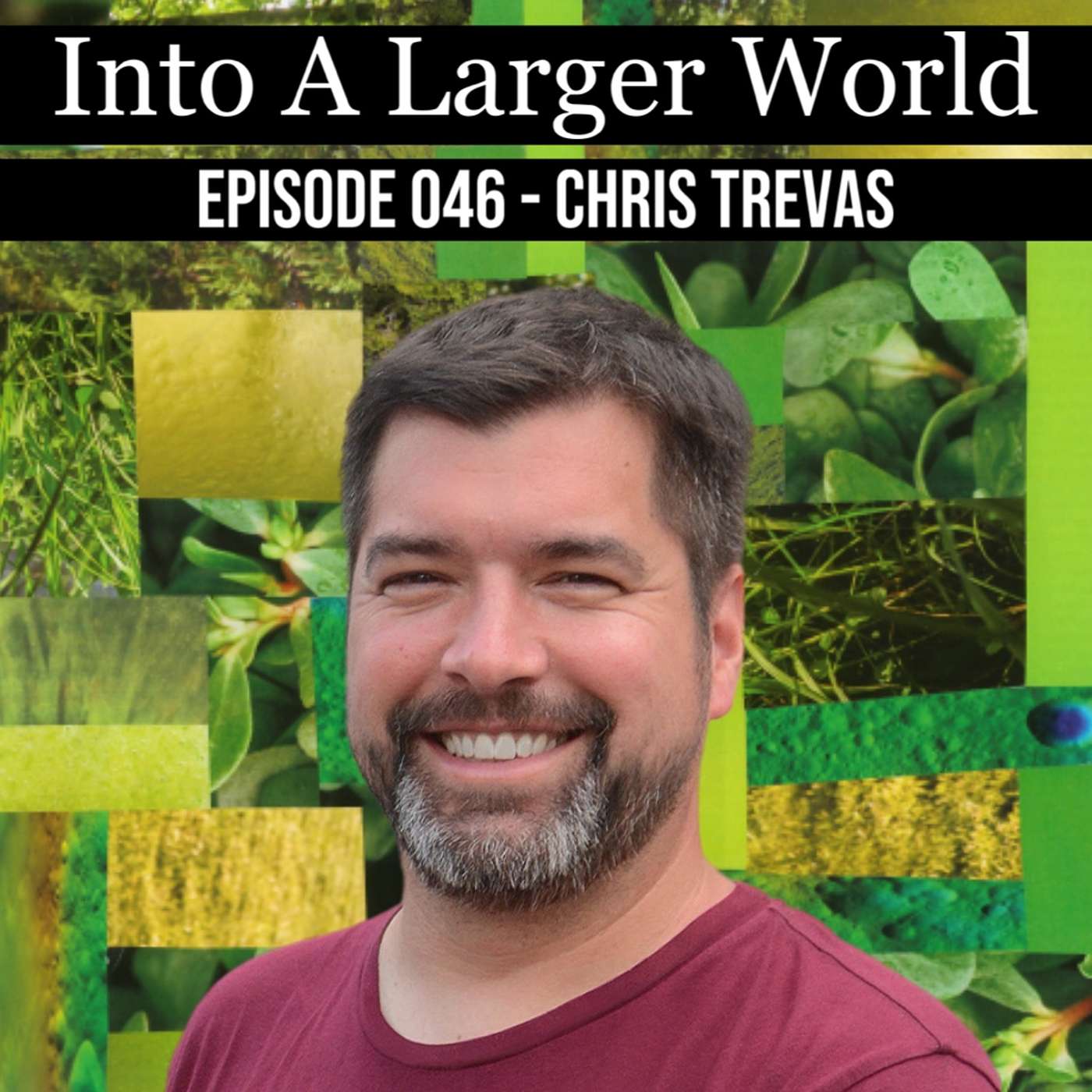 Into A Larger World