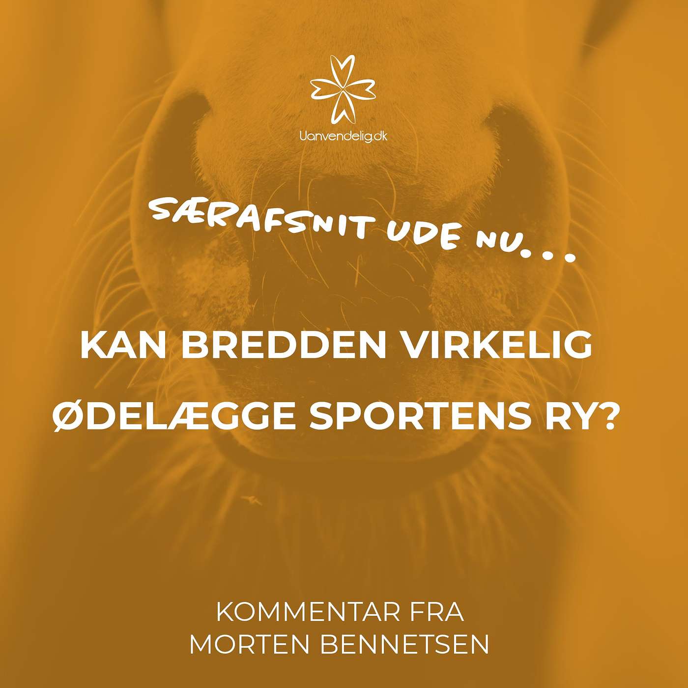 Uanvendelig eller Ridehest
