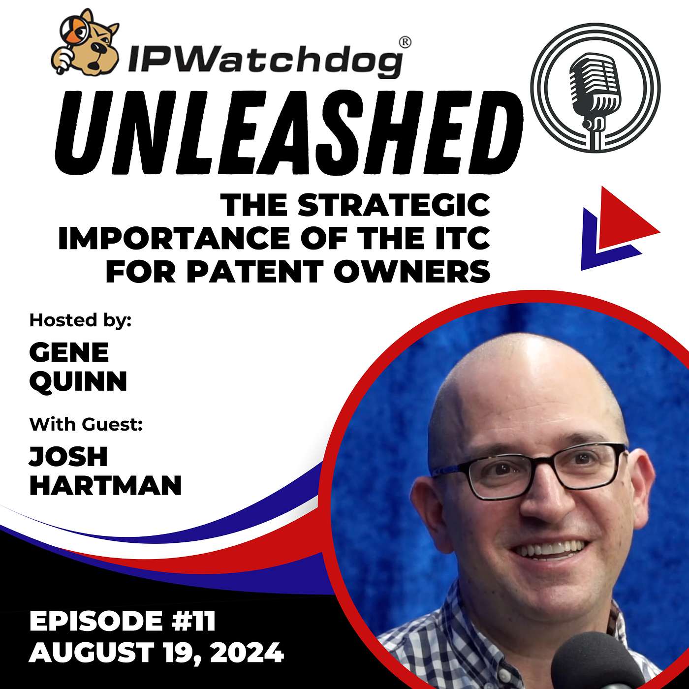 IPWatchdog Unleashed