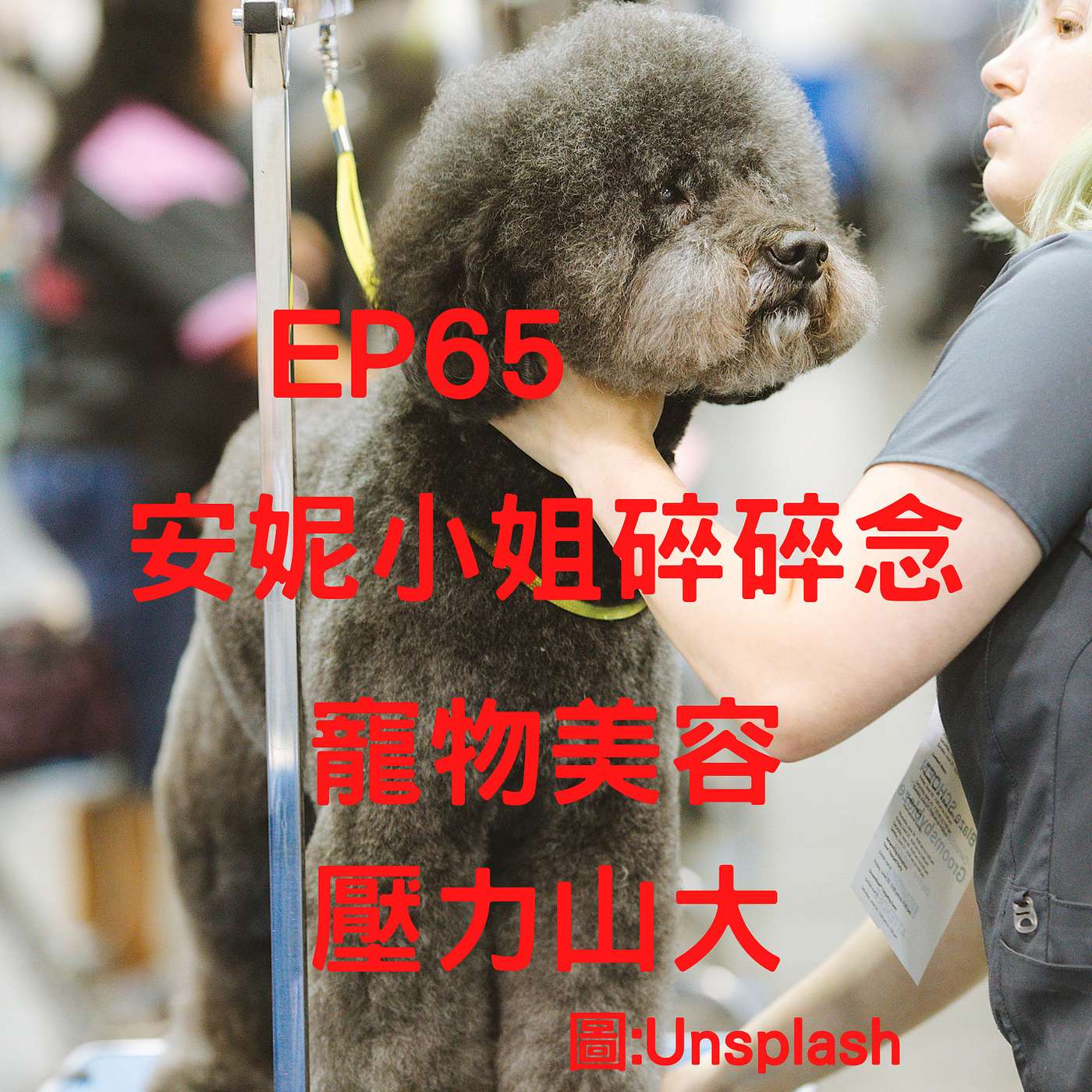 從0到1媒體人X斜槓EP65 寵物美容師壓力山好大！安妮小姐碎碎念(柚子貍&安妮動物園) episode artwork