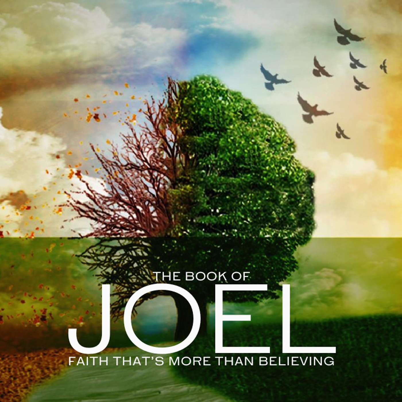 The Book Of Joel: Faith That's More Than Believing