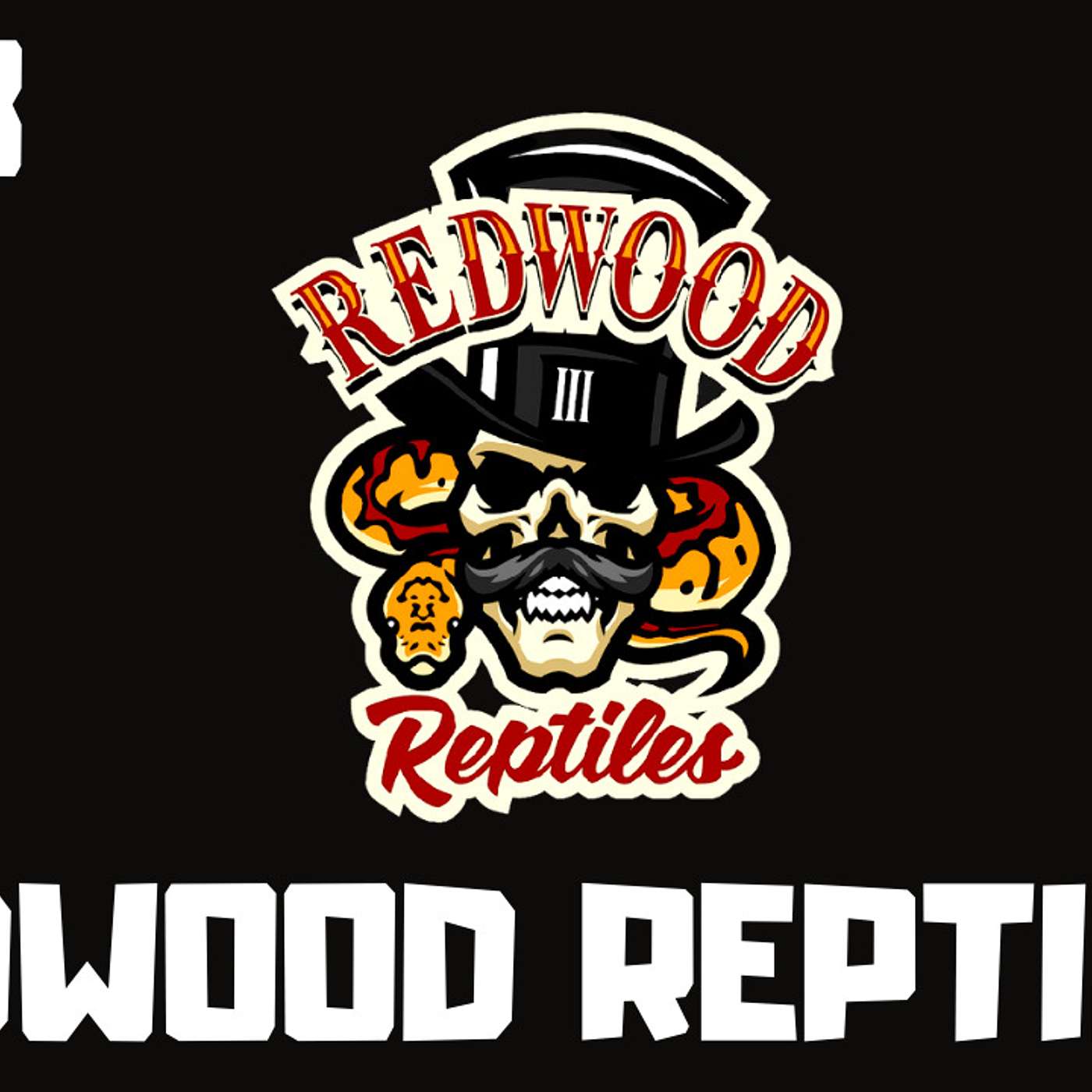 #143 ANDREW LYONS OF REDWOOD REPTILES | BALL PYTHON BREEDER | NEW BREEDER ON THE BLOCK SERIES