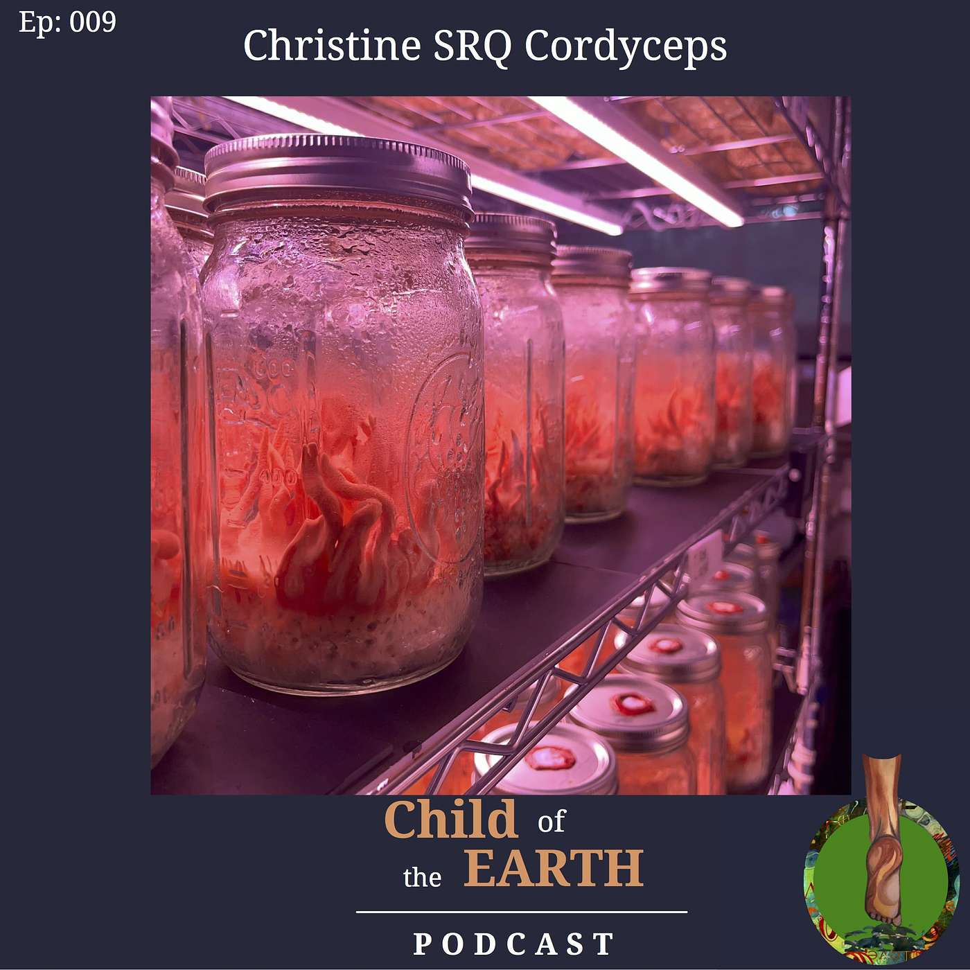 009: Cordyceps | Energy Inducing Mushroom | Covid Buster?! | Intersect of Art & Science w/ Christine episode artwork