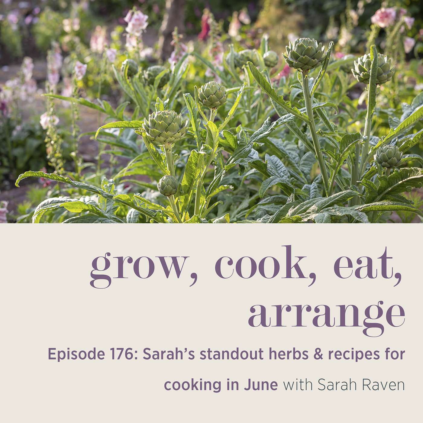 Sarah’s standout herbs & recipes for cooking in June  - Episode 176