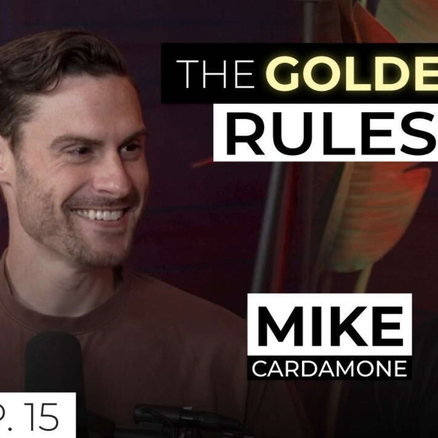 Mike Cardamone: The Golden Rules