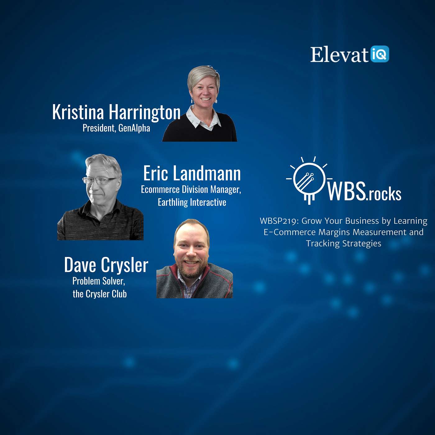WBSP219: Grow Your Business by Learning E-Commerce Margins Measurement and Tracking Strategies, a Live Interview w/ a Panel of Experts