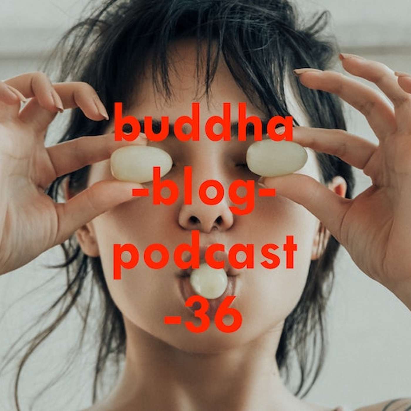 Buddha Blog - Buddhismus im Alltag