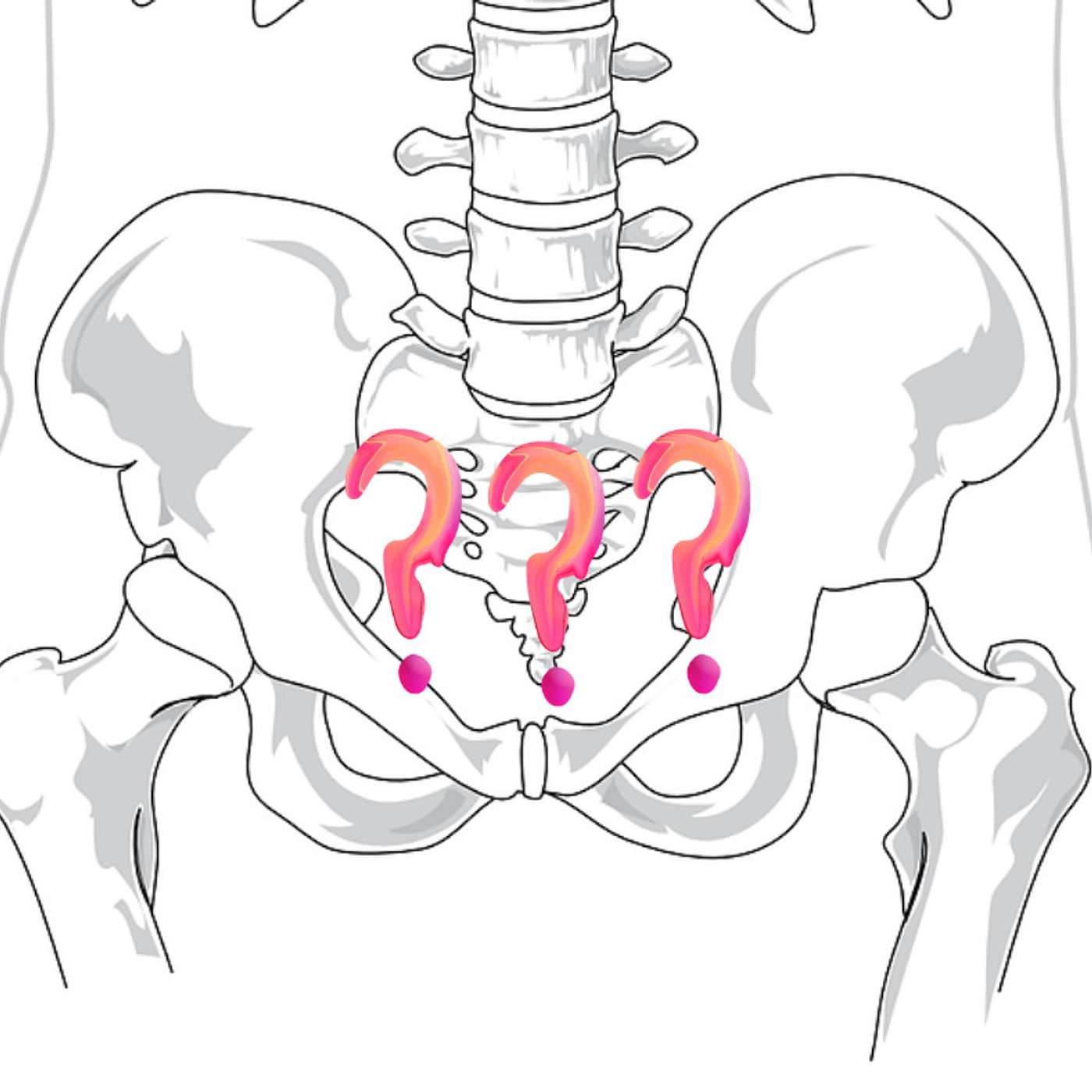Pelvic floor 101