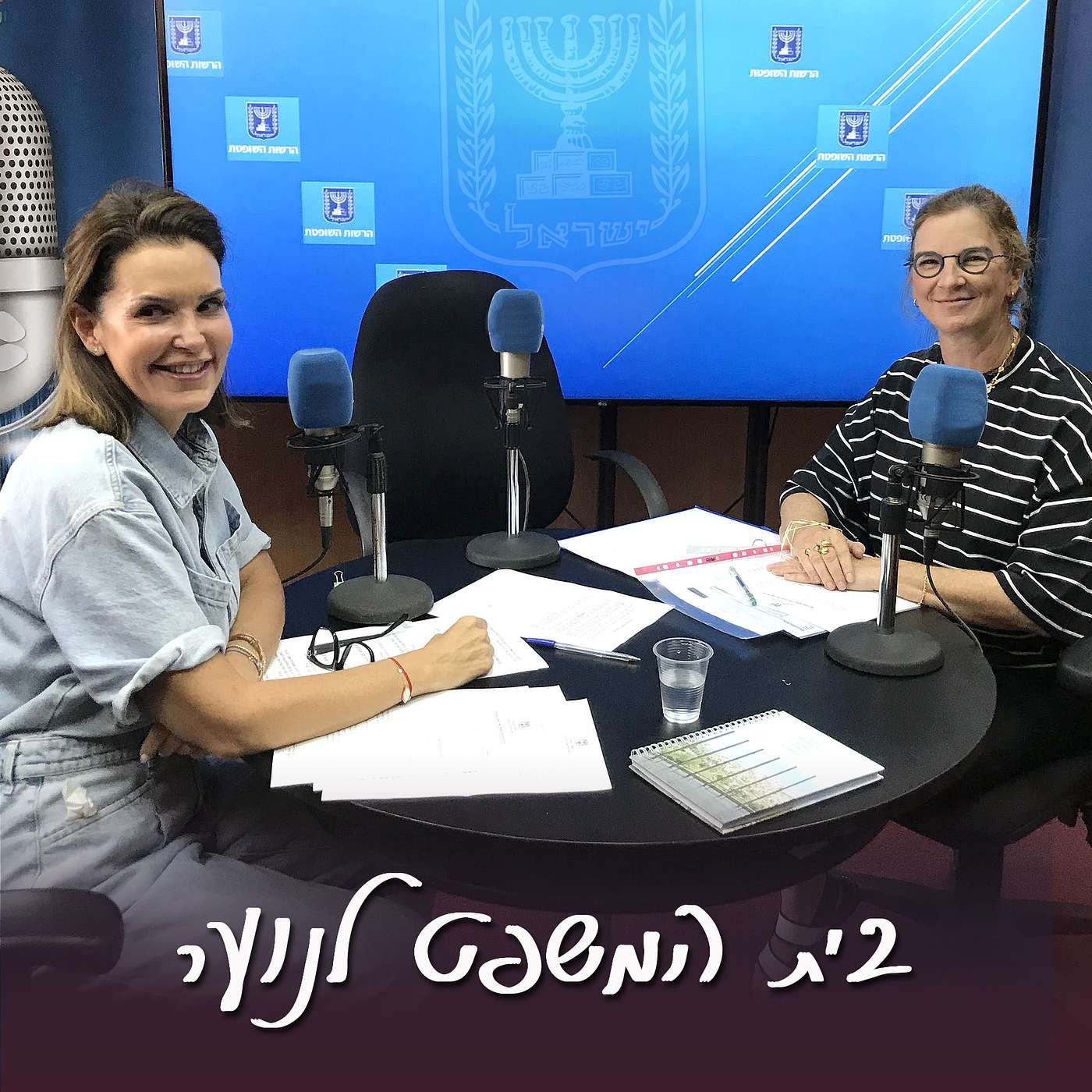פרק 4- בית משפט לנוער