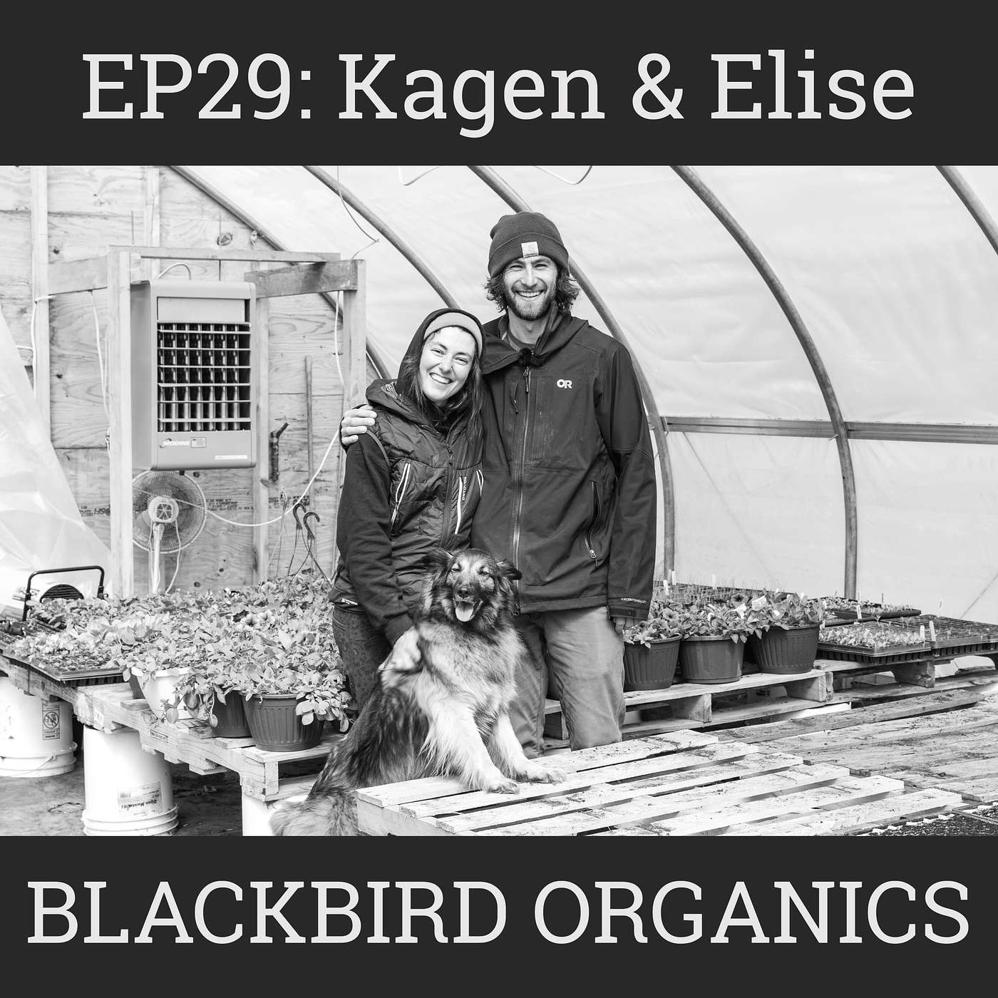High Tunnels & Field Crops, the Farming Journey of Kagan & Elise of Blackbird Organics: EP29