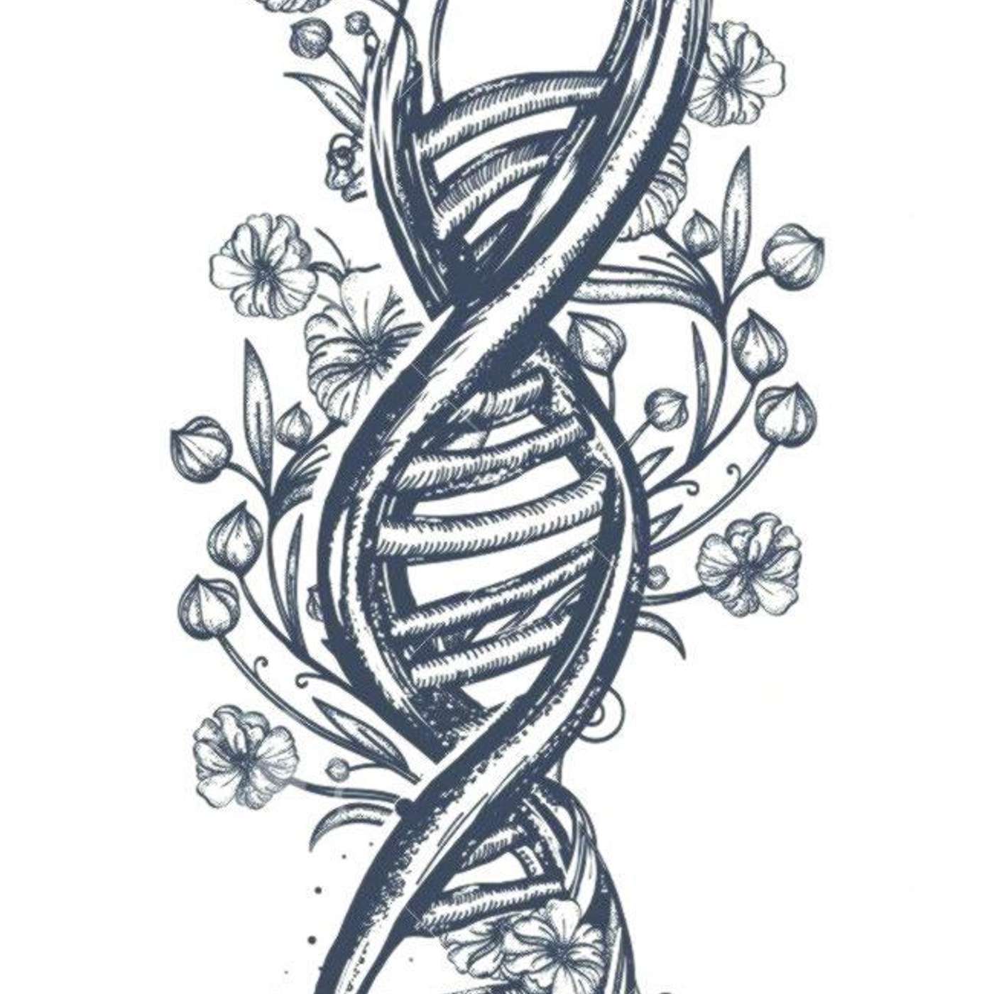 Naturae Arcana podcast artwork