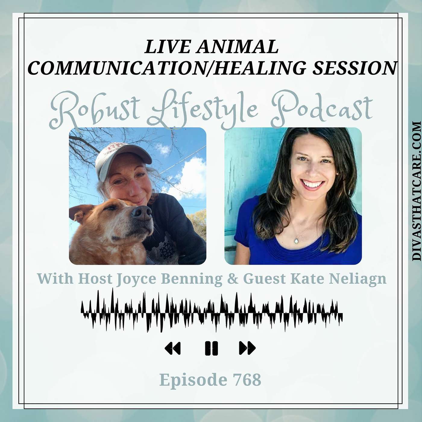 Live Animal Communication/Healing Session episode artwork