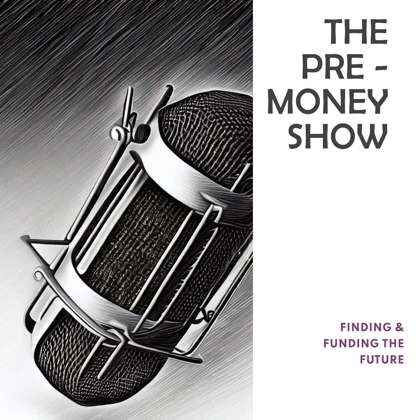 The Pre-Money Show