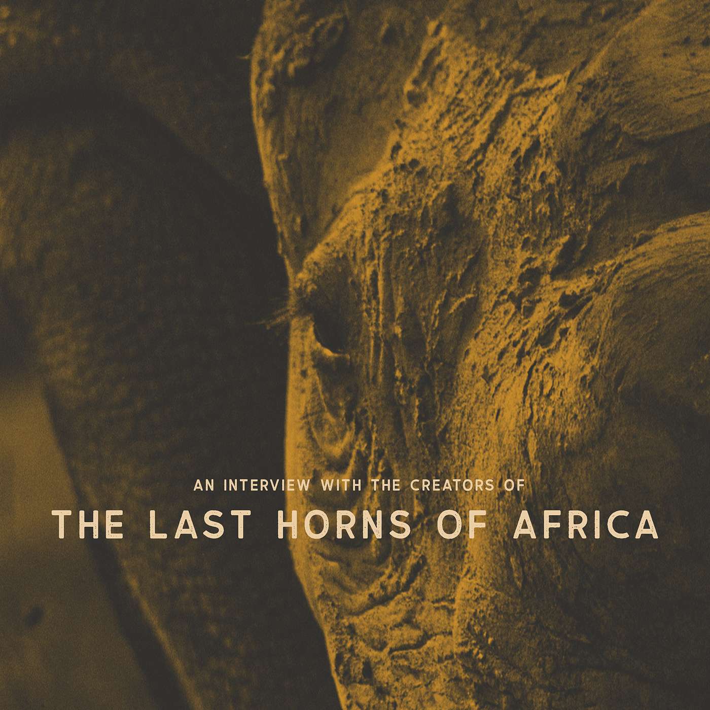 The Art Of Conservation