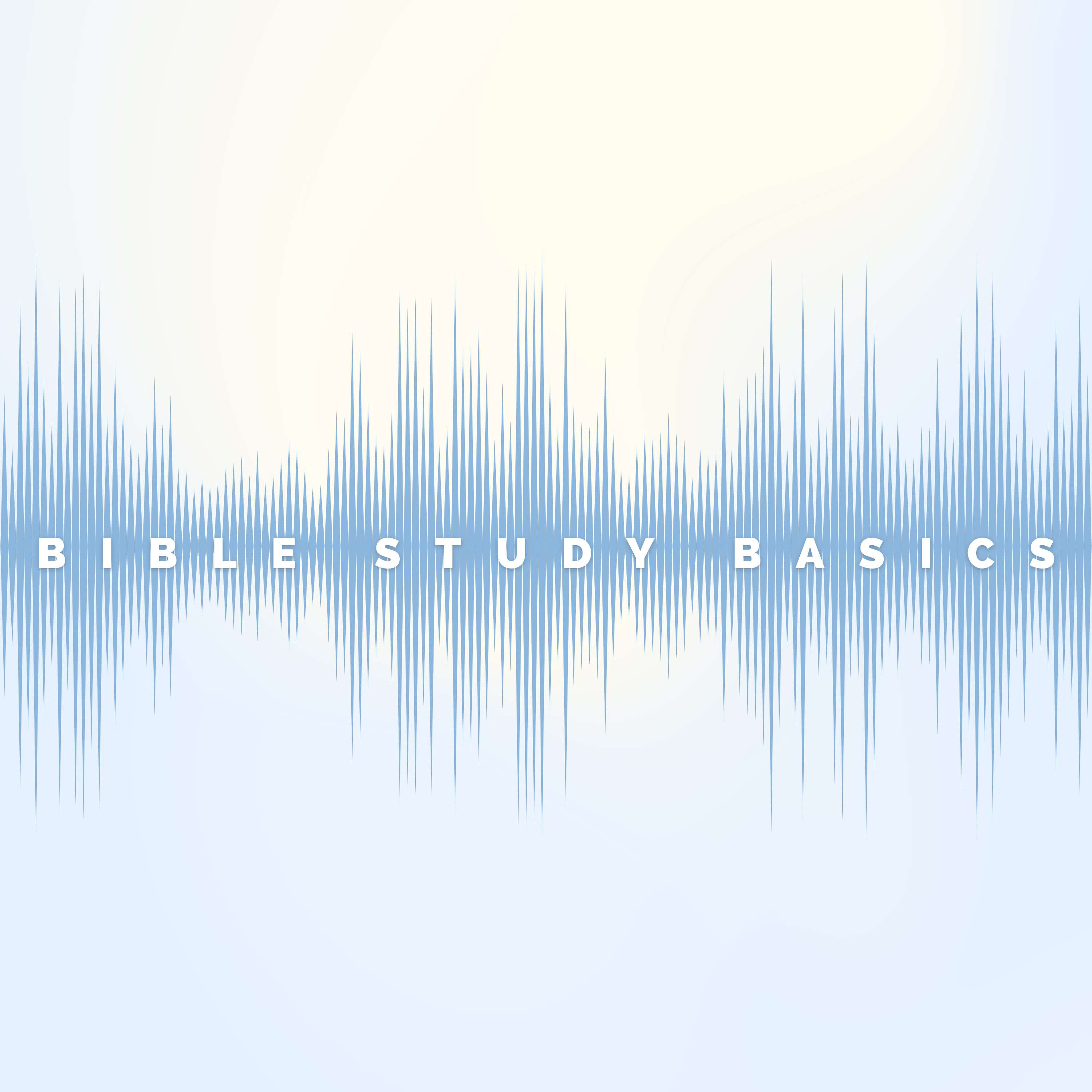 Bible Study Basics with Ashley