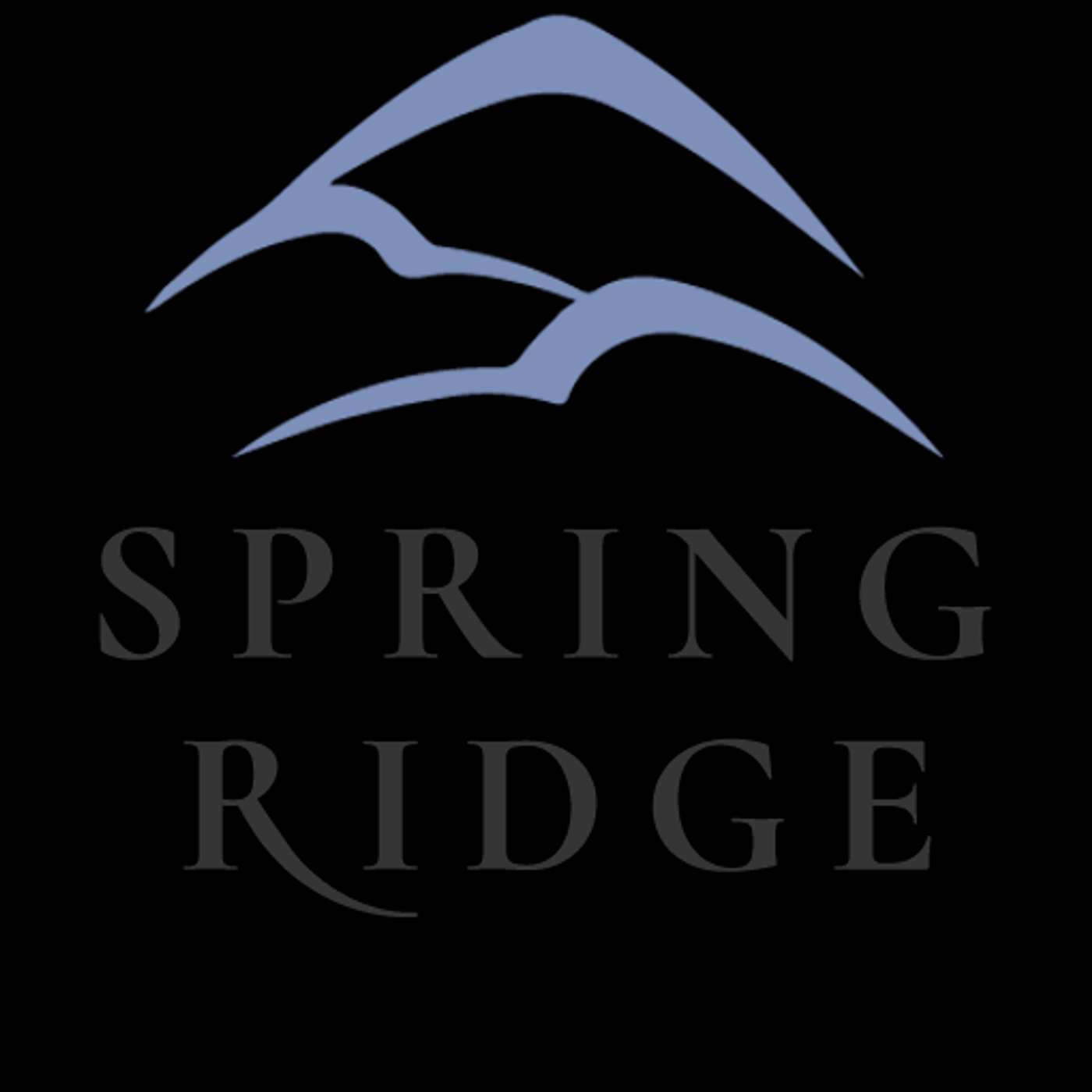 Spring Ridge Financial Group