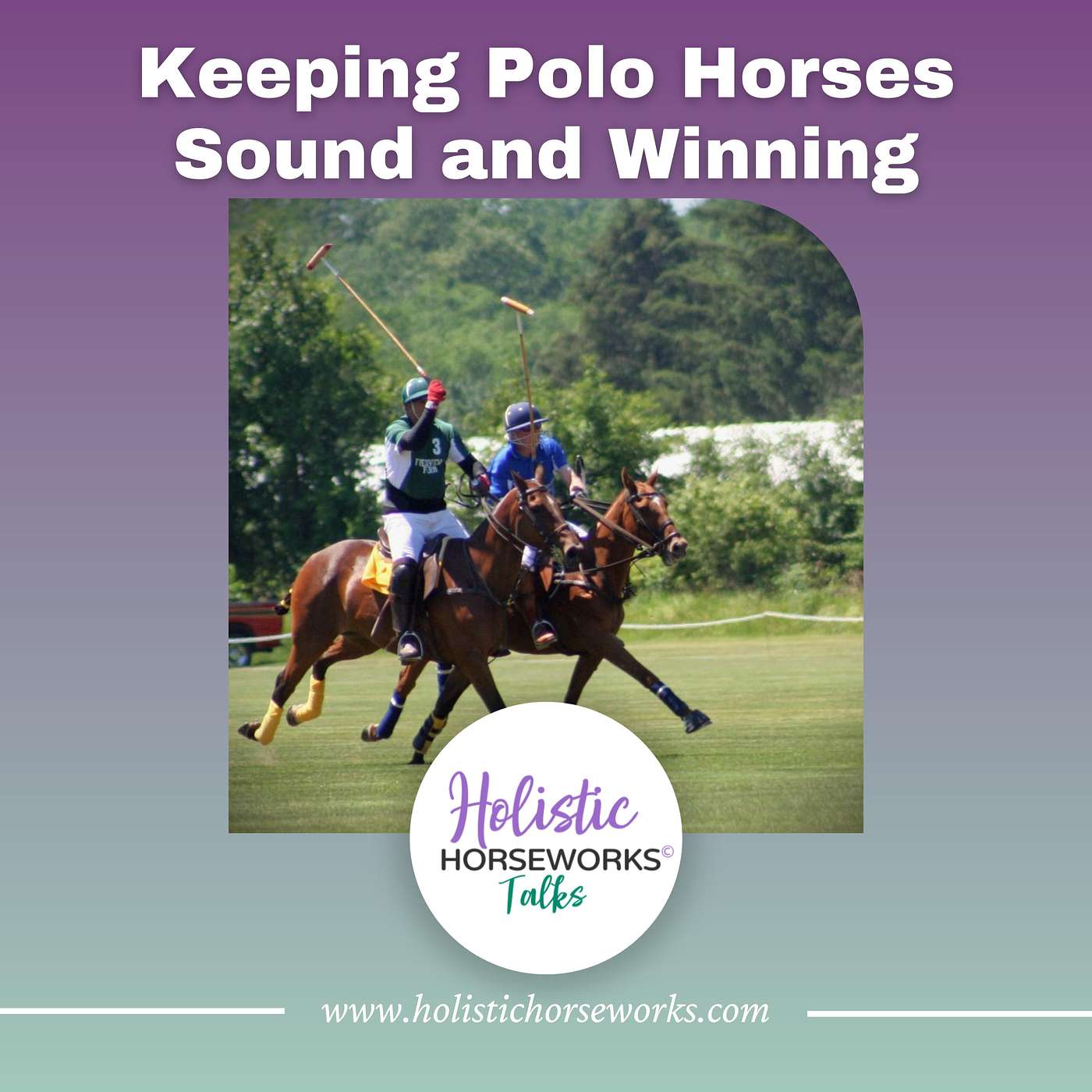 Holistic Horseworks Talks with April Love