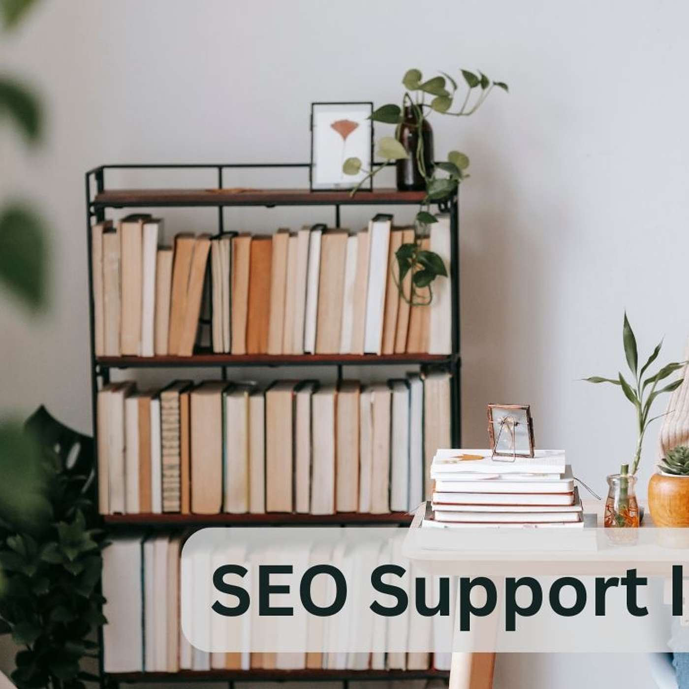 SEO Support India: Expert Tips to Boost Your Online Success!