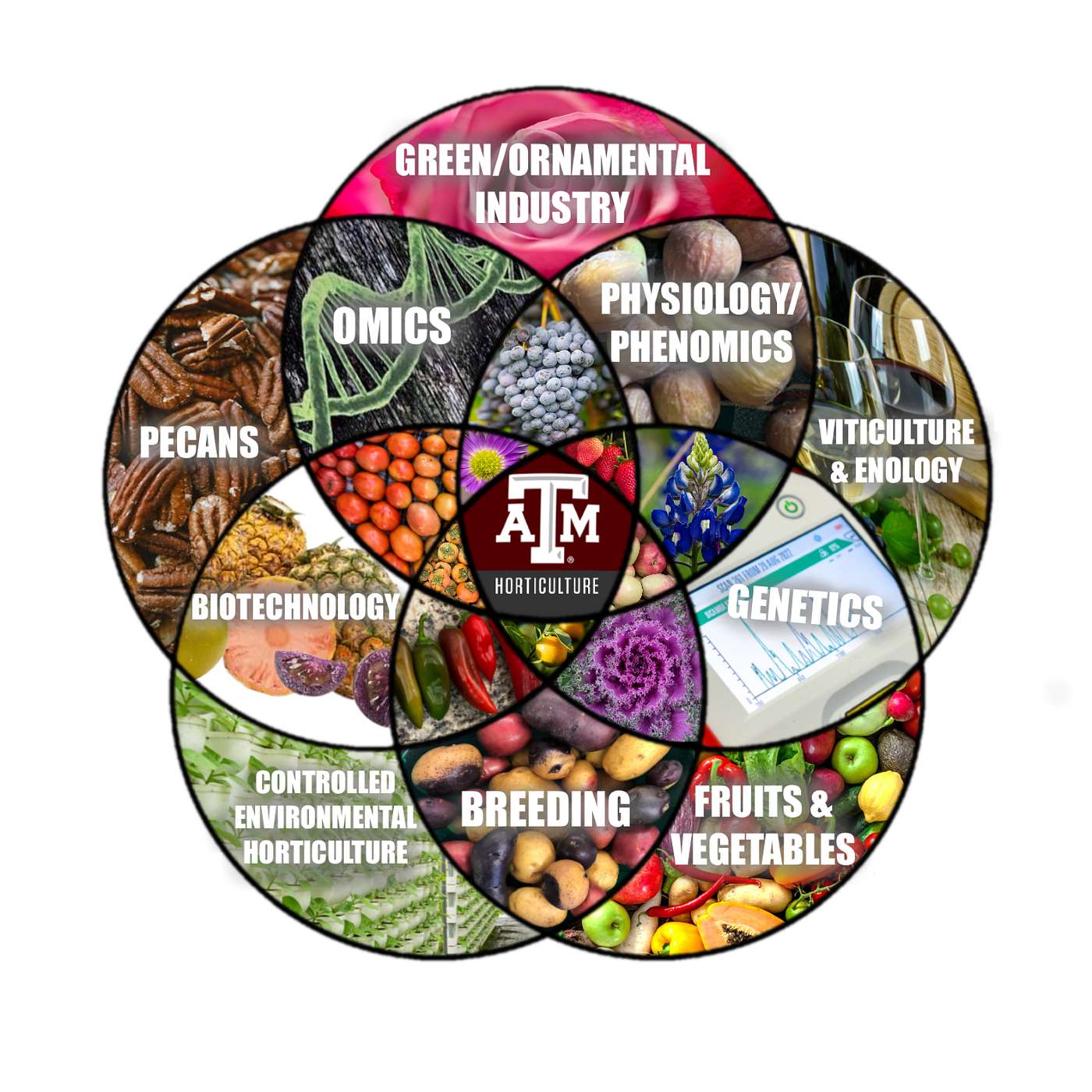 S1: Episode 1: Meet the Horticulture Influencer Kaitlyn Thornton S1: Episode 1: Meet the Horticulture Influencer Kaitlyn Thornton