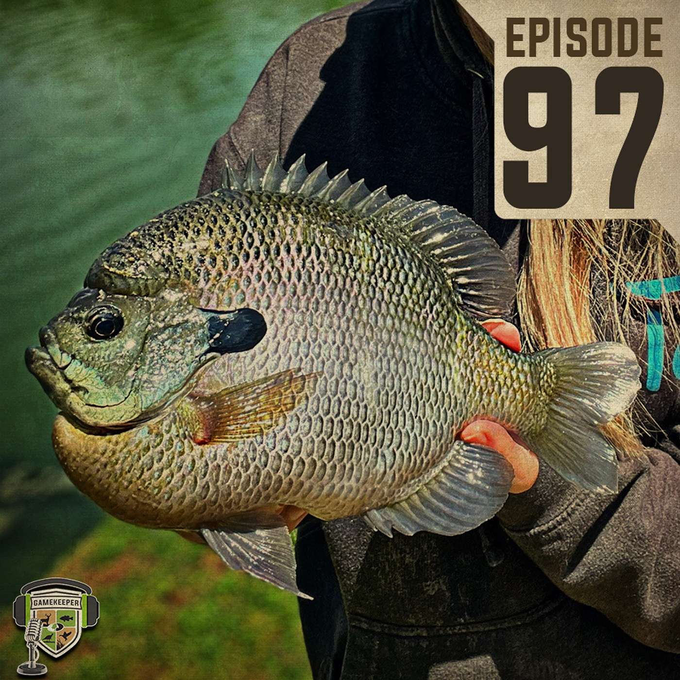 EP:97 | Managing For World Record Bluegill