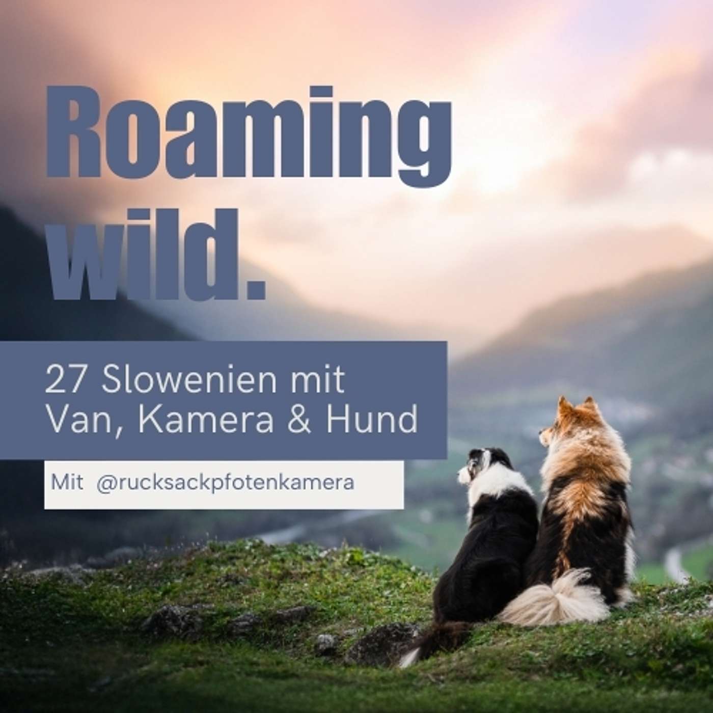 Roaming Wild - Outdoorerlebnisse und Fotografie mit Hund