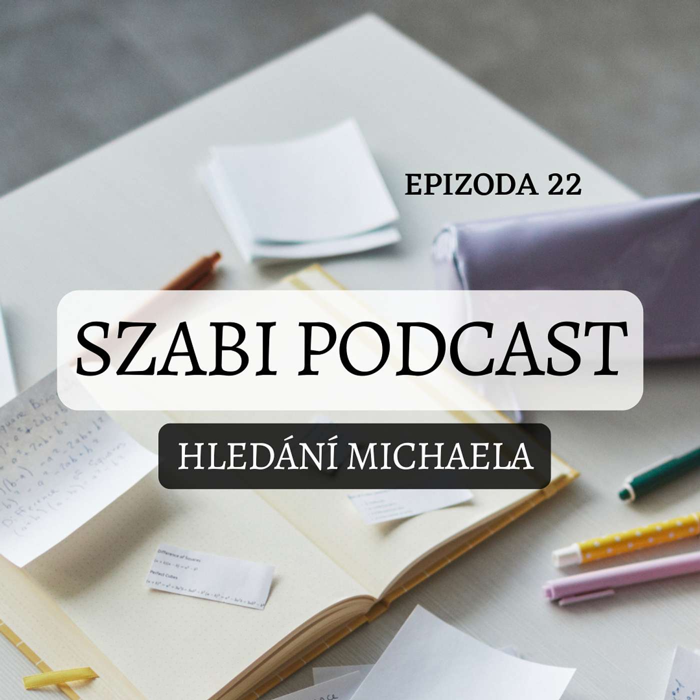 22. Hledání Michaela