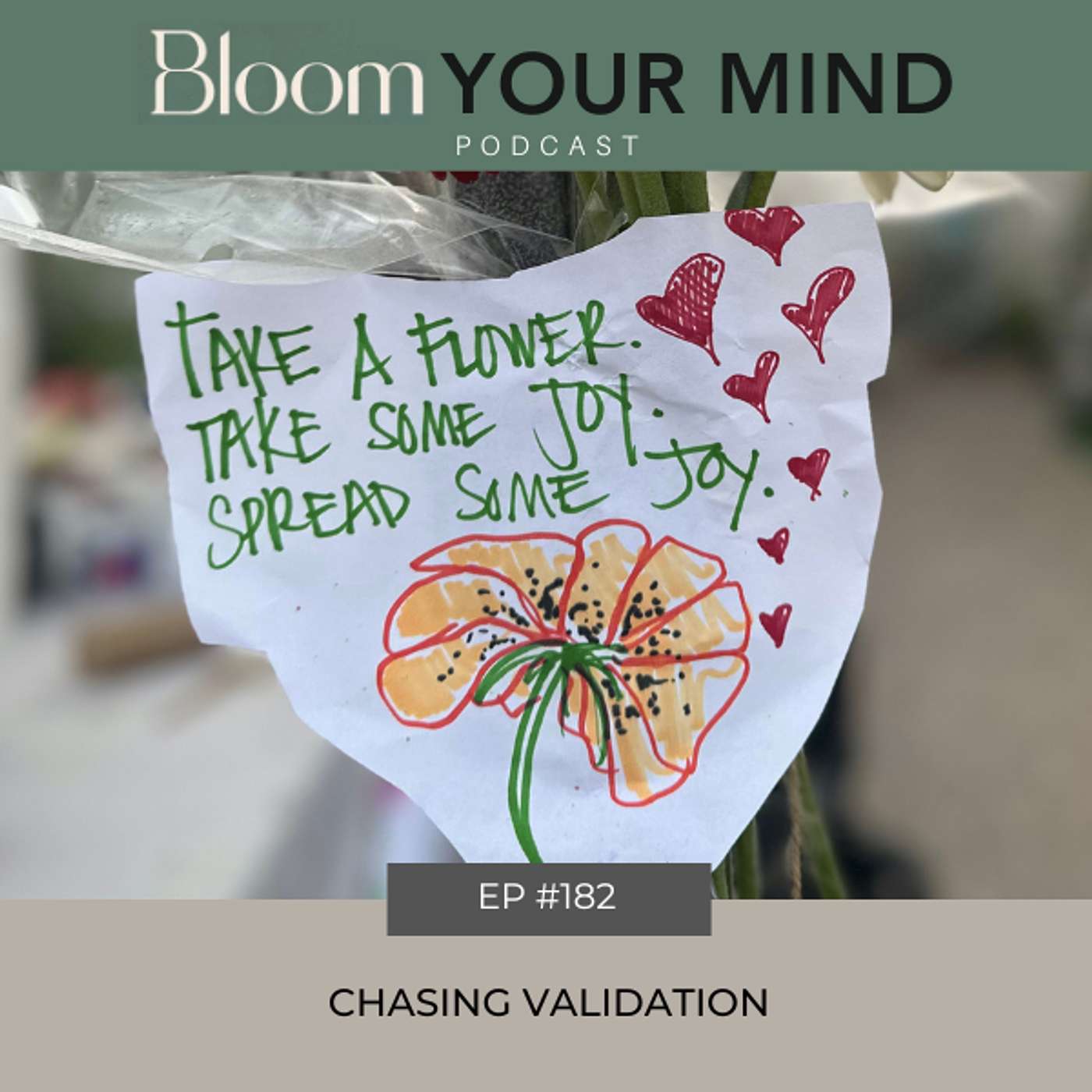 Ep 182: Chasing Validation episode artwork