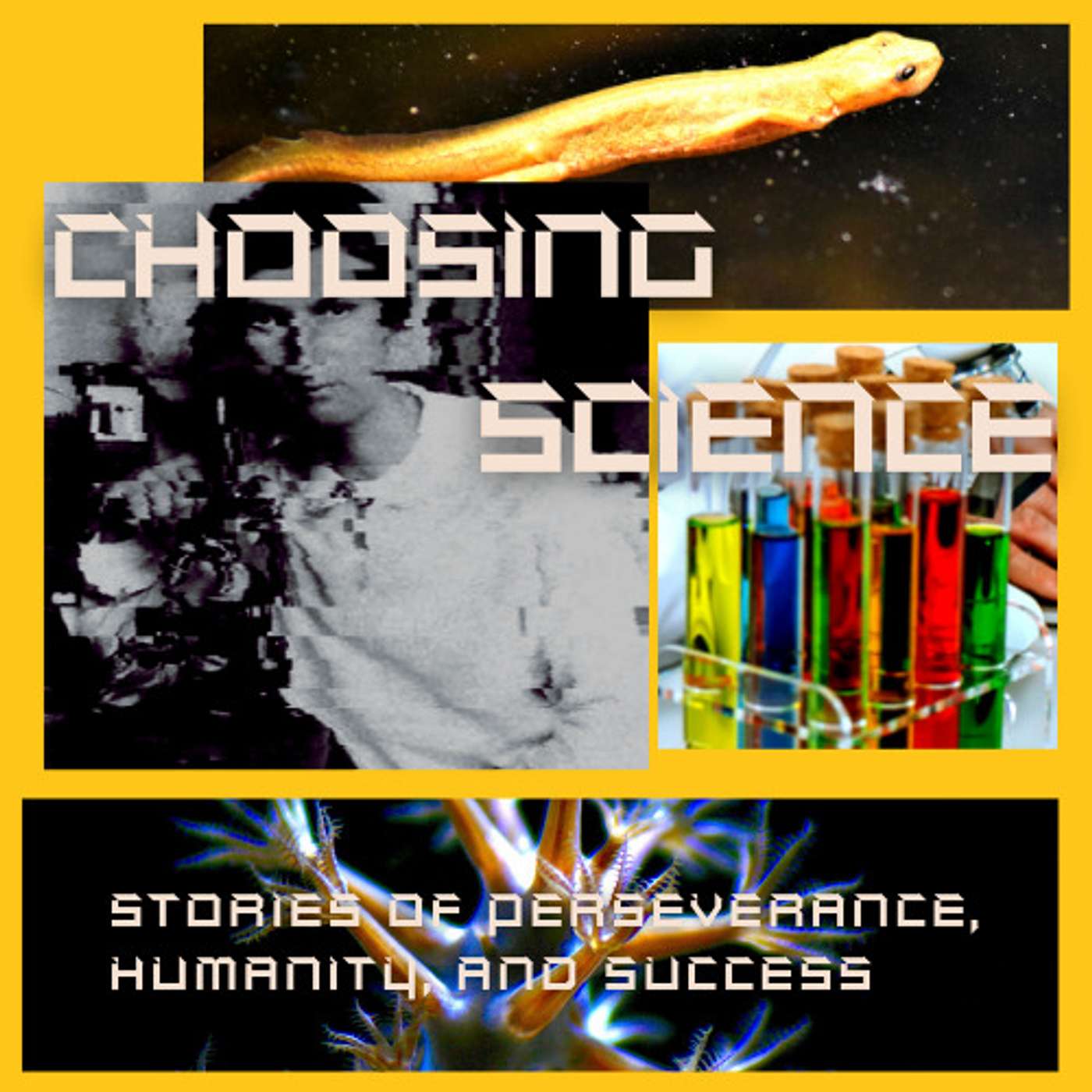Choosing Science: Stories of Perseverance, Humanity, and Success