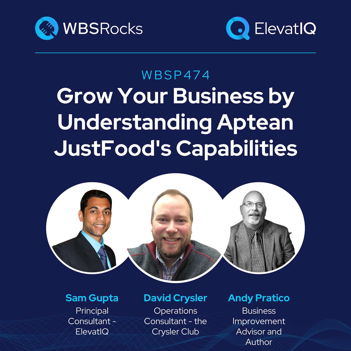 WBSP474: Grow Your Business by Understanding Aptean JustFood's Capabilities, an Objective Panel Discussion