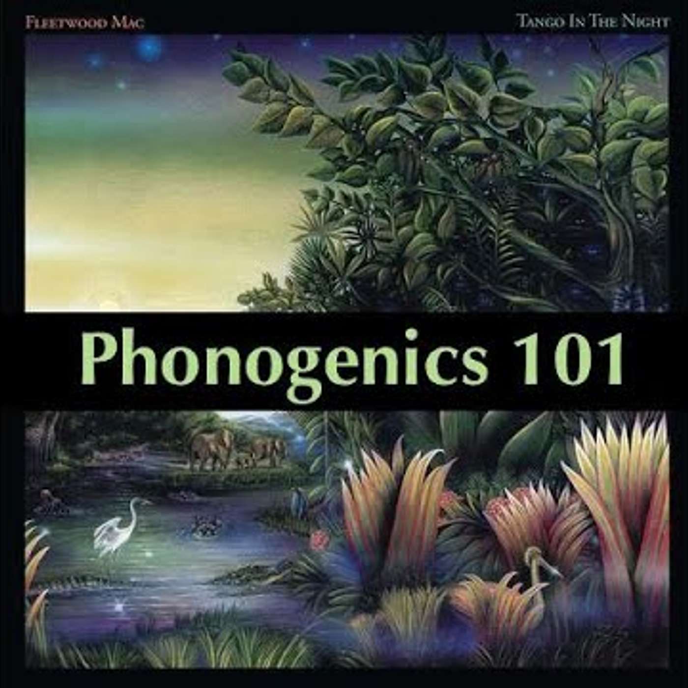 Phonogenics 101: Discussing Albums Track By Track