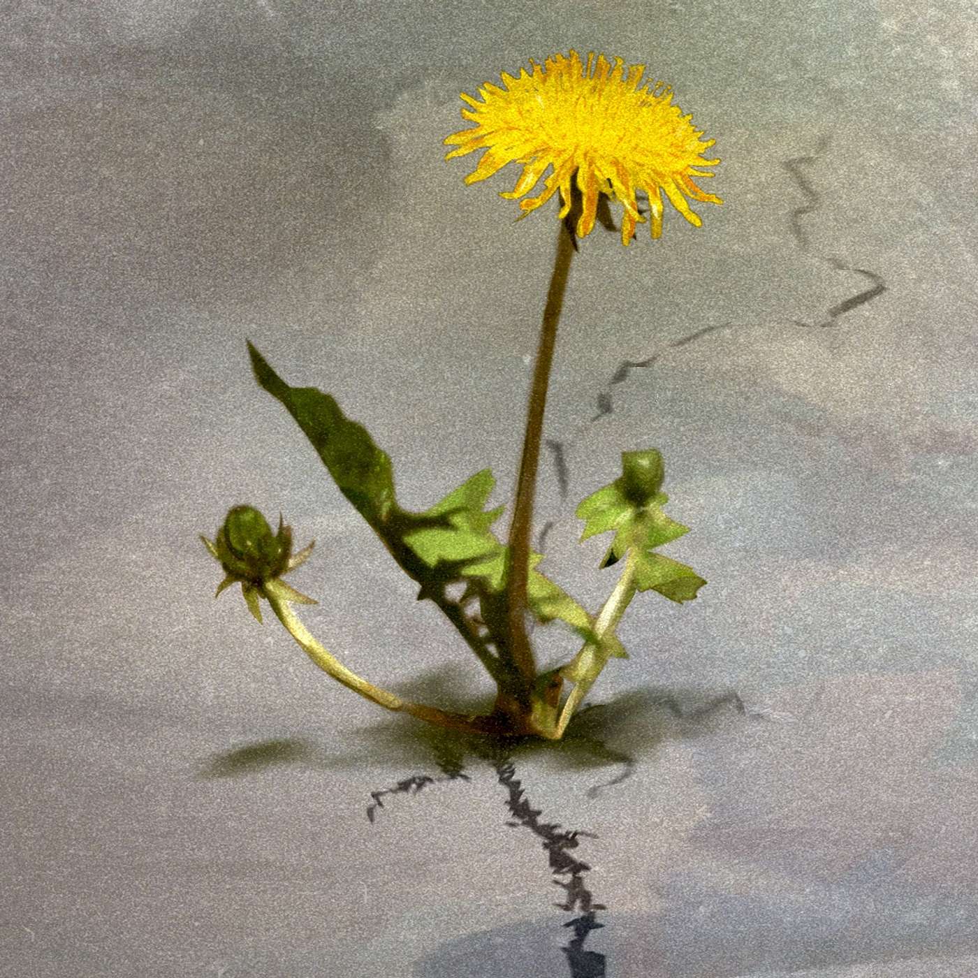 Что такое синдром выжившего