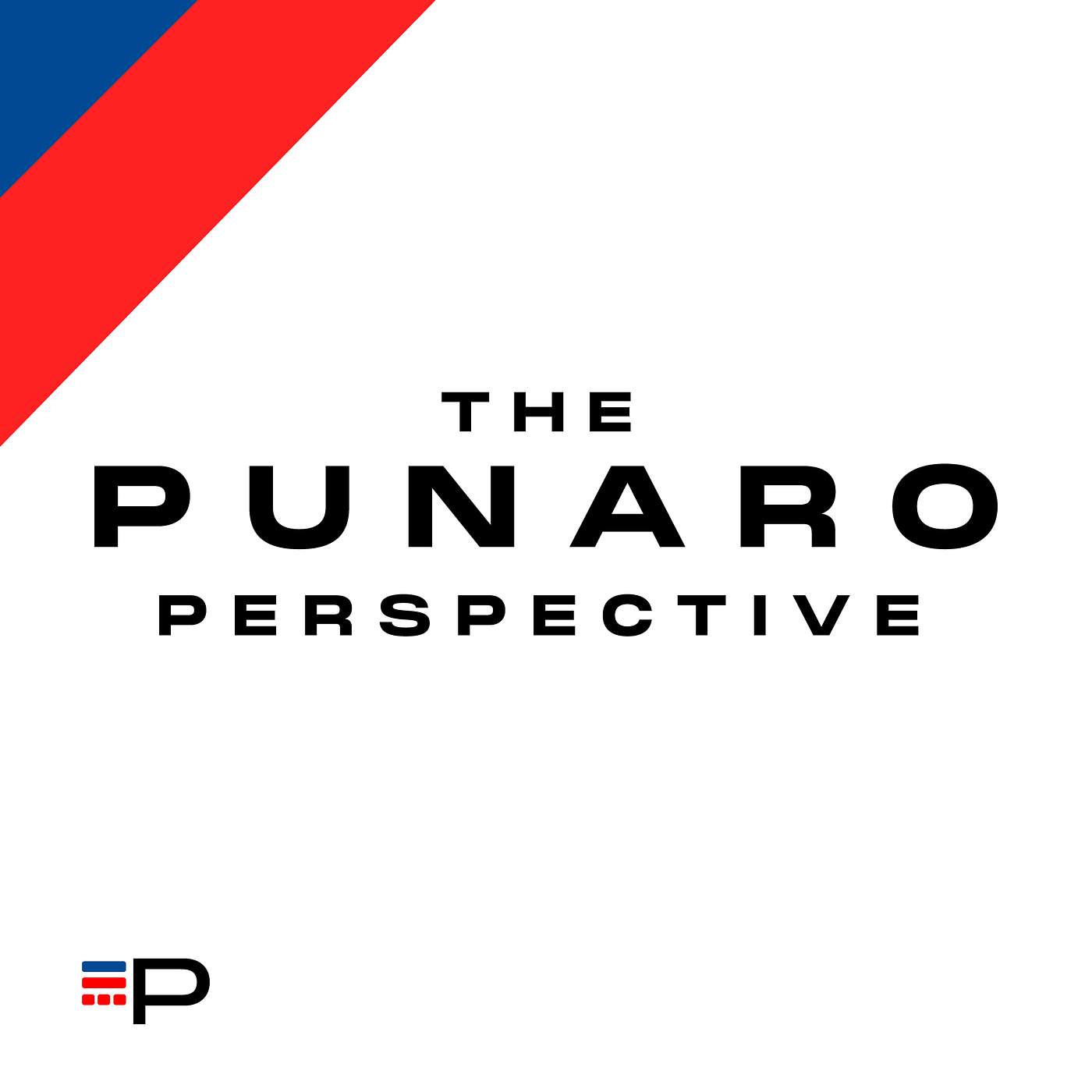 The Punaro Perspective – Congress’ Power of the Purse