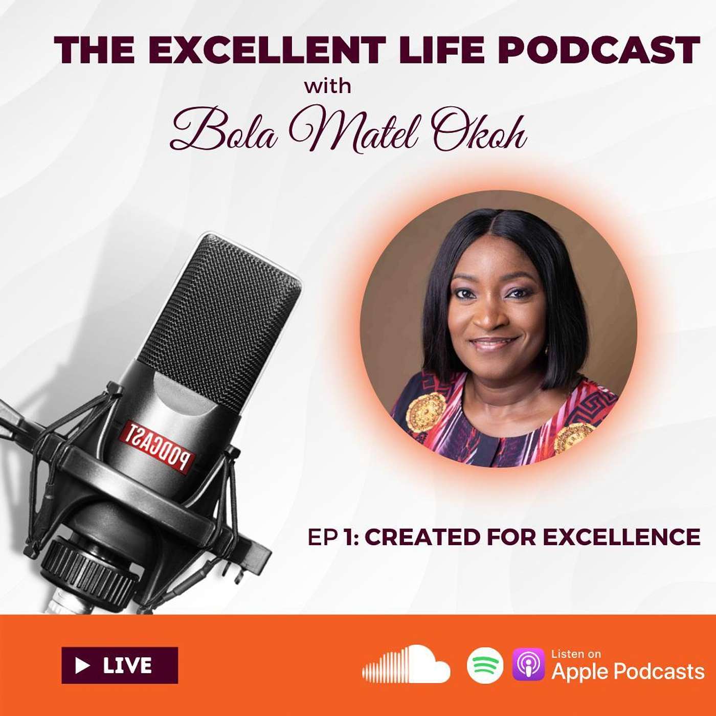 The Excellent Life Podcast