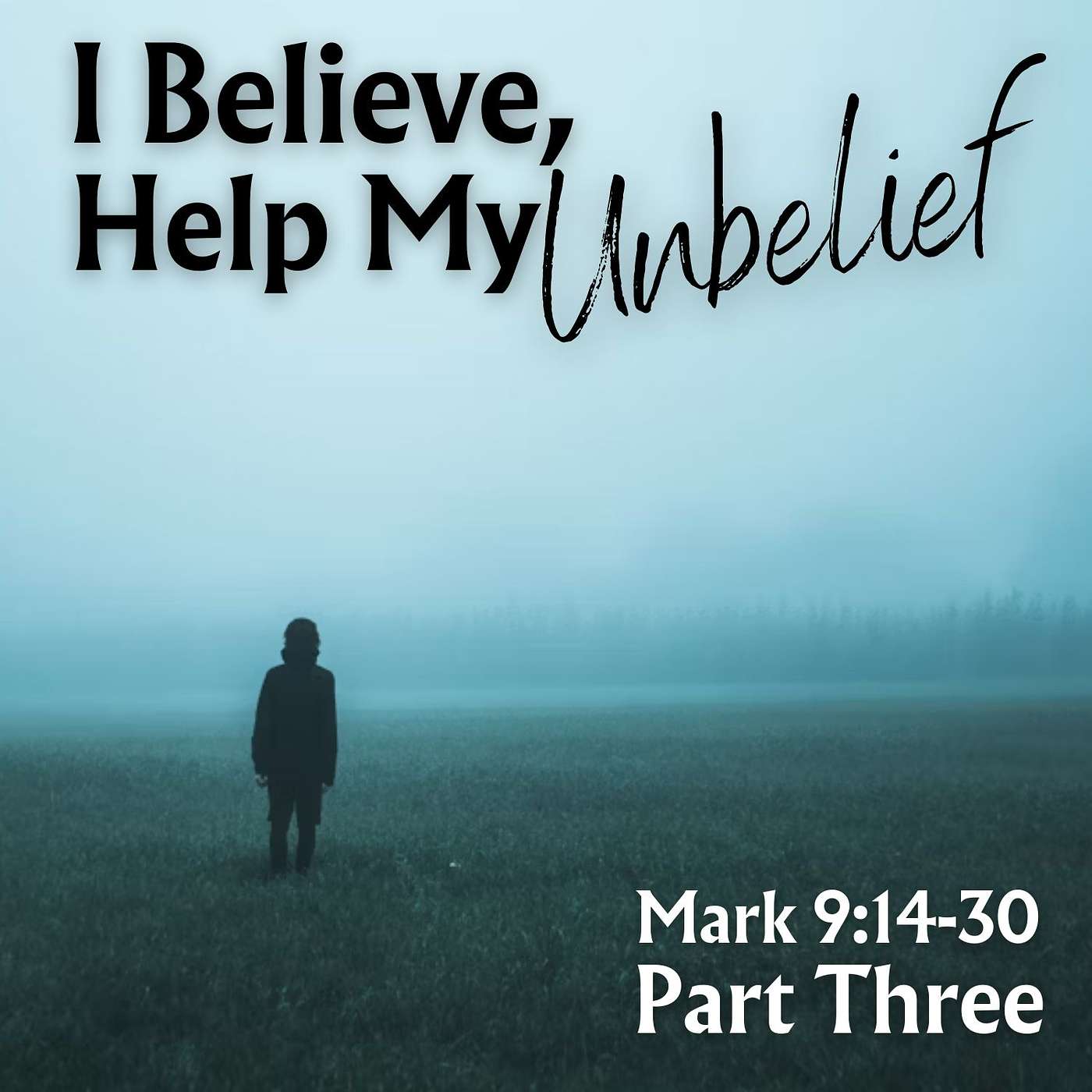 I Believe, Help My Unbelief!, Part 3; Mark 9:14-29