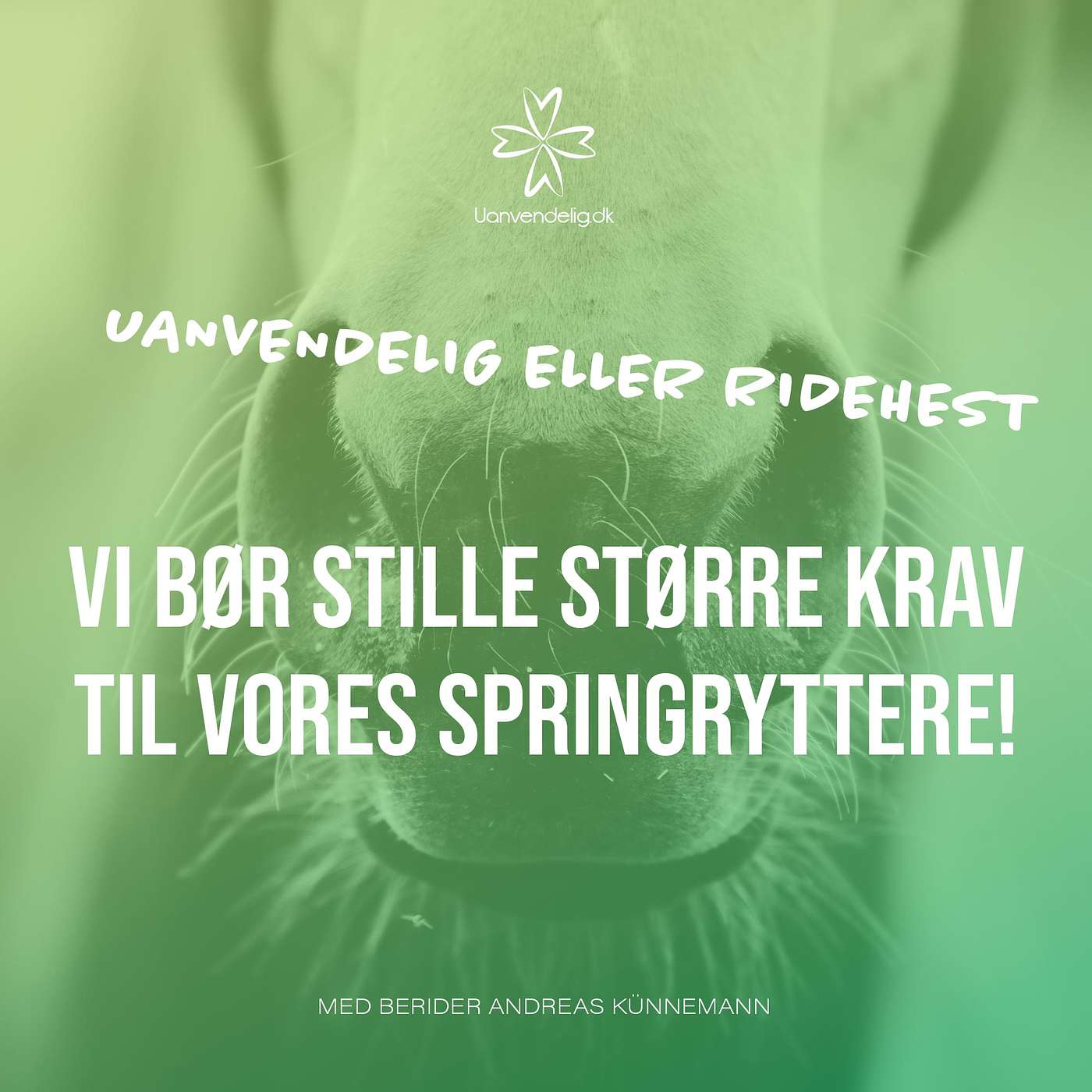 Vi bør stille større krav til vores springryttere: Med berider i Andreas Künnemann Vi bør stille større krav til vores springryttere: Med berider i Andreas Künnemann