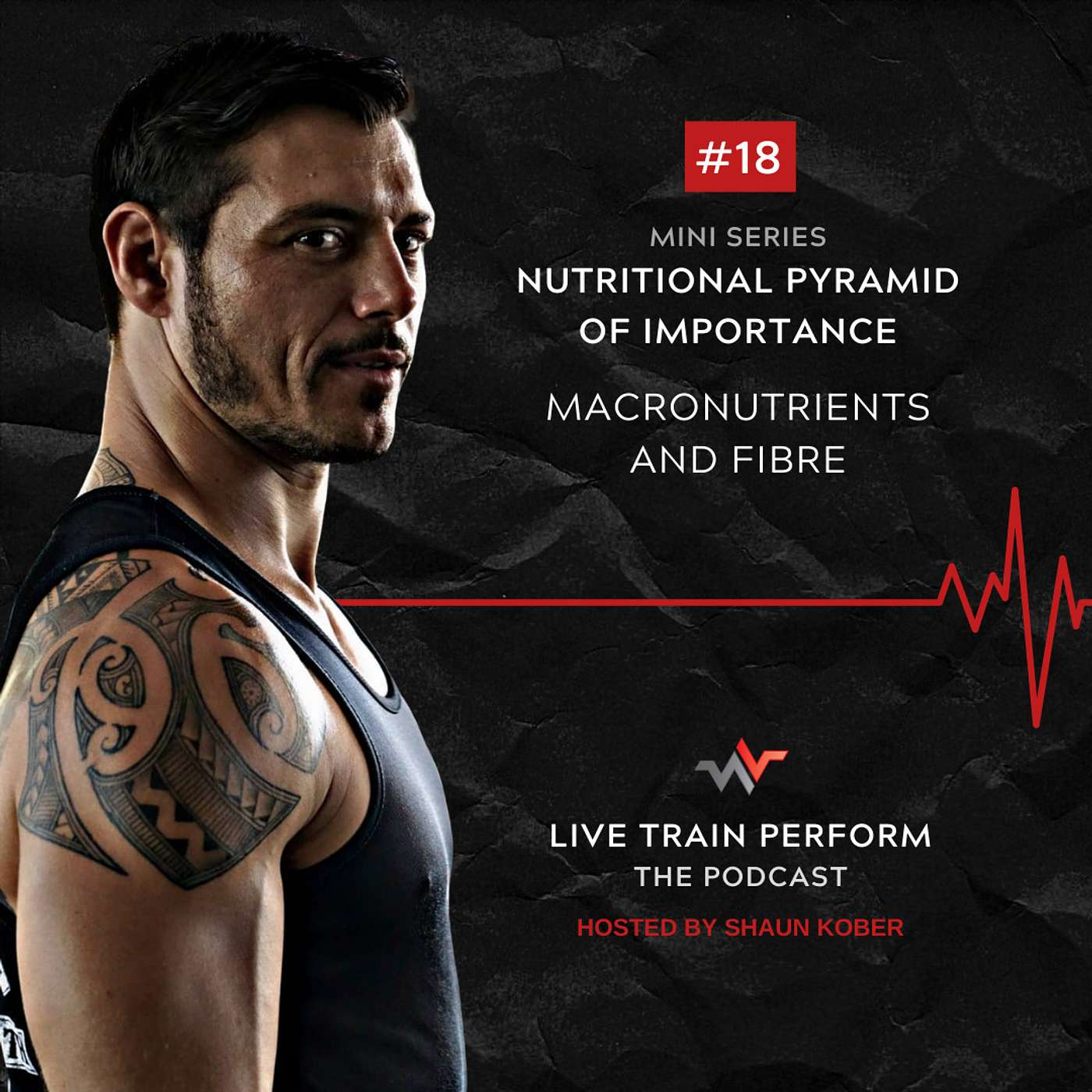 Episode 18: Nutritional Pyramid of Importance Mini Series: Macronutrients and Fibre episode artwork