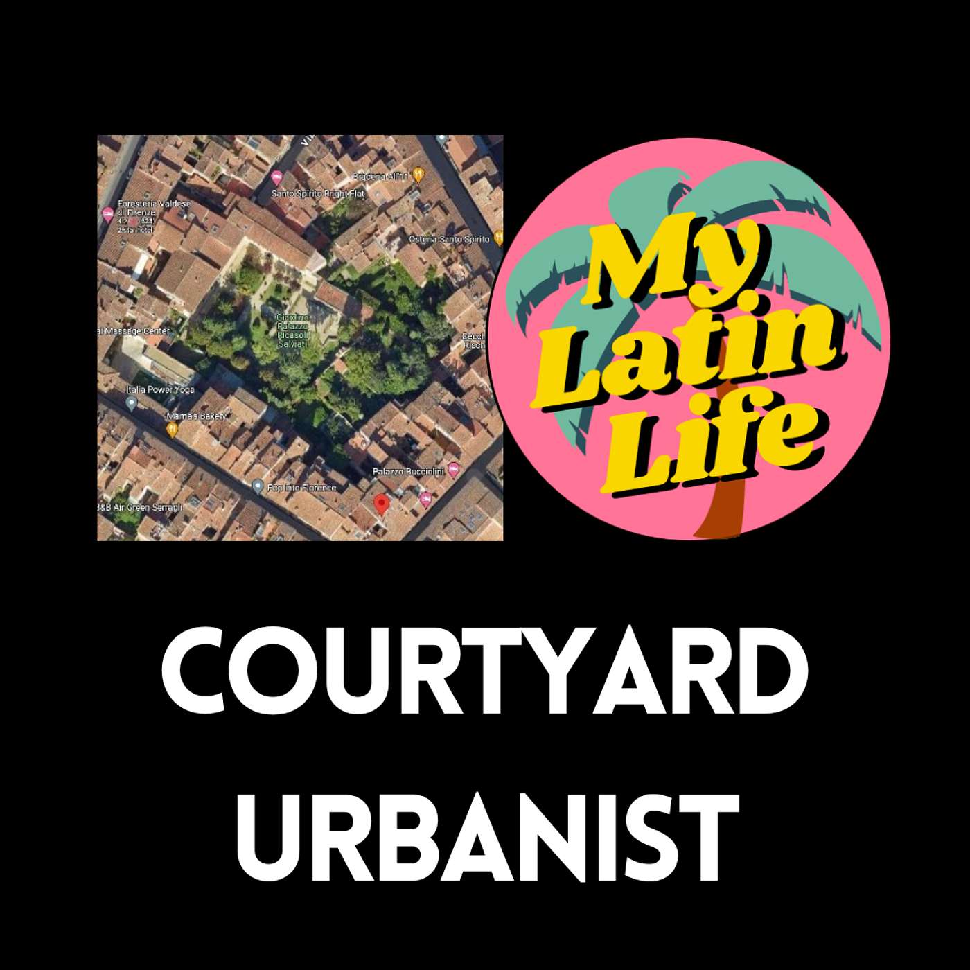 Alicia the Courtyard Urbanist: Can US cities adopt Family-friendly Courtyard Block Design?