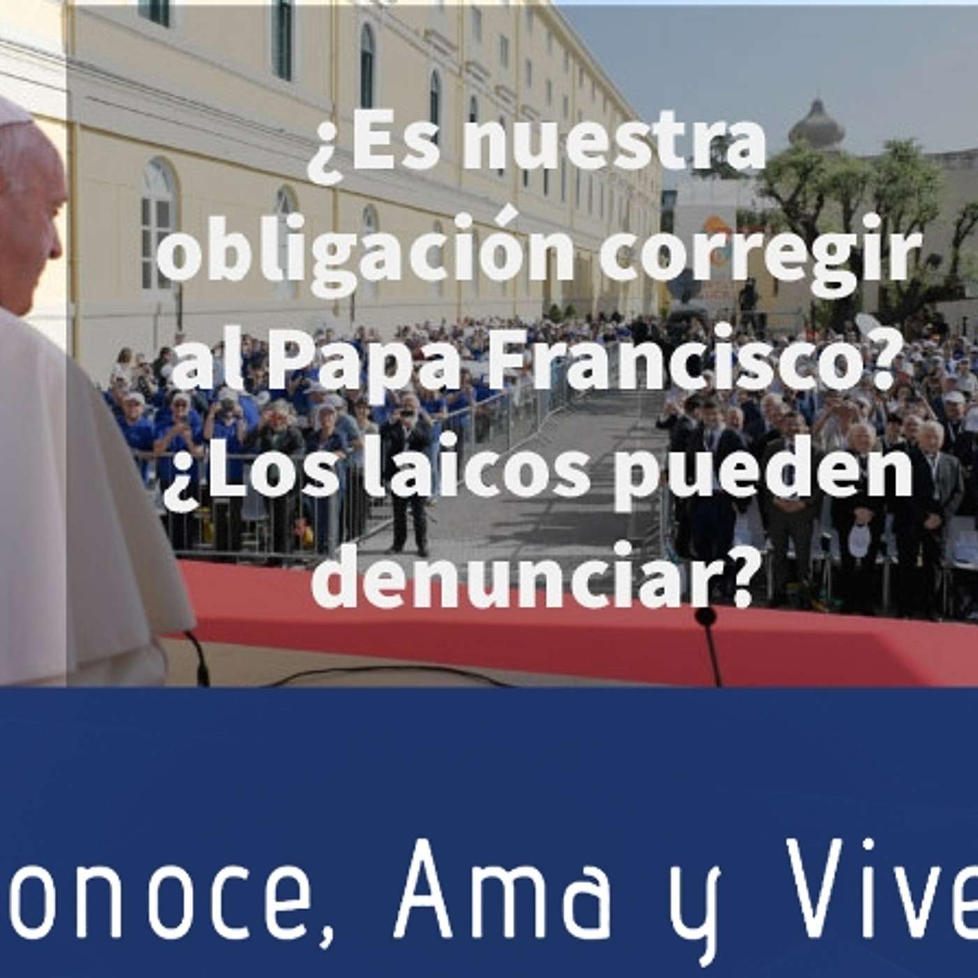 Episodio 164: 🤷‍♂️ ¿Es nuestra obligación corregir al Papa Francisco? 😲¿Los Laicos pueden corregir y denunciar? episode artwork