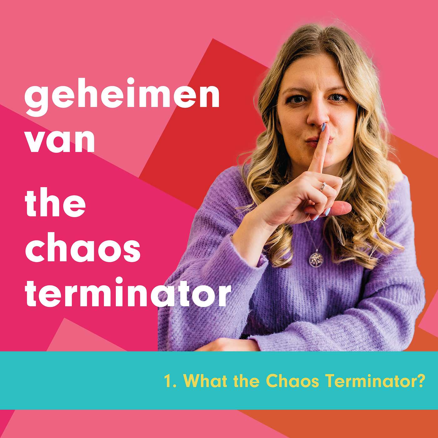 1. What The Chaos Terminator? episode artwork