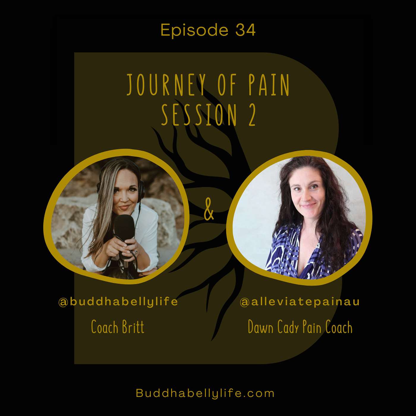 Buddha Belly Life: Simple Healing- Mind to Microbiome