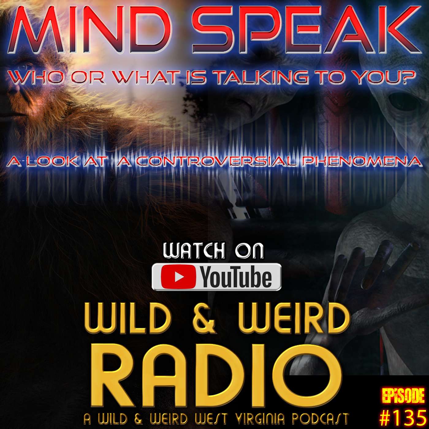 Mind Speak, What's Really Talking To Us?