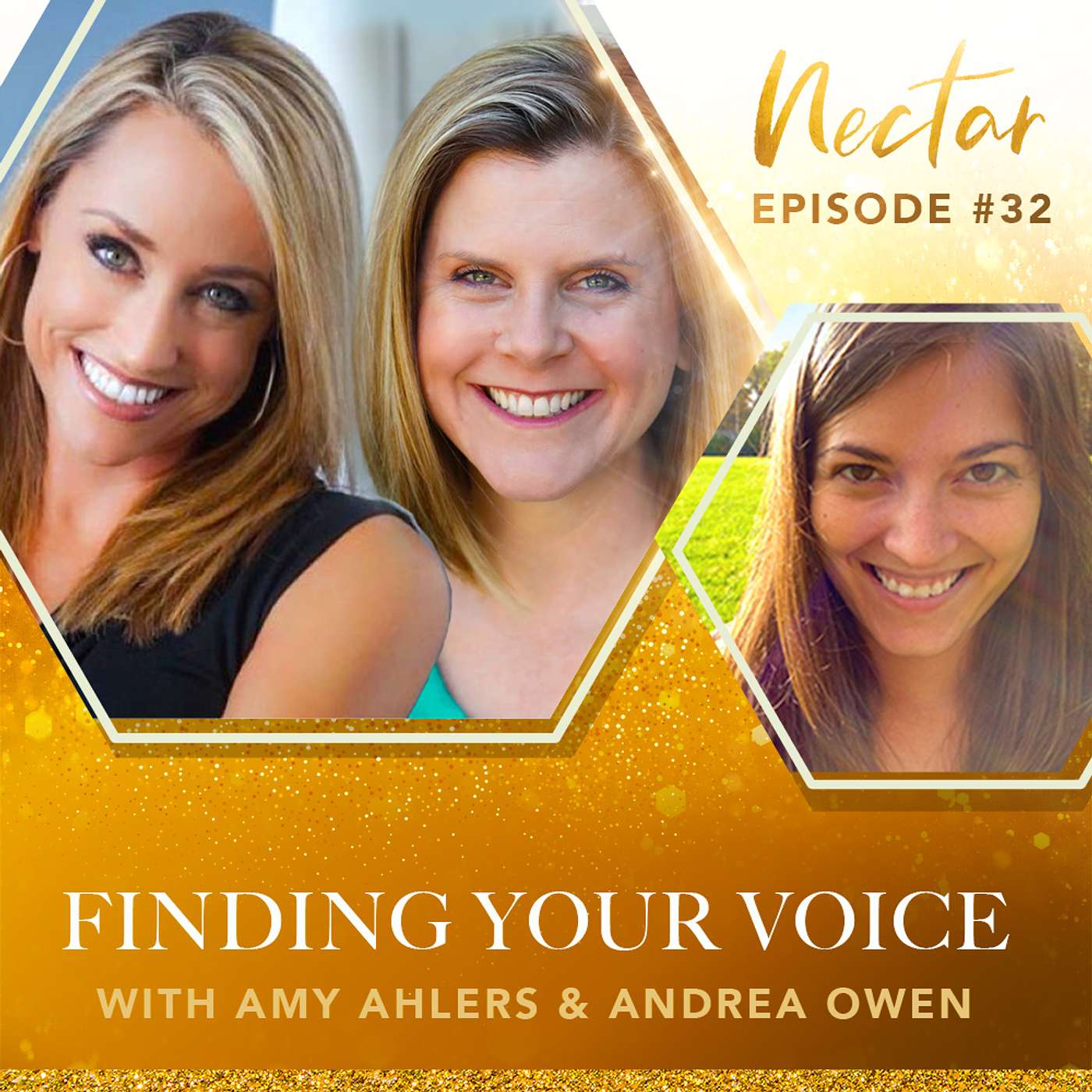 Finding Your Voice (with Amy Ahlers and Andrea Owen)