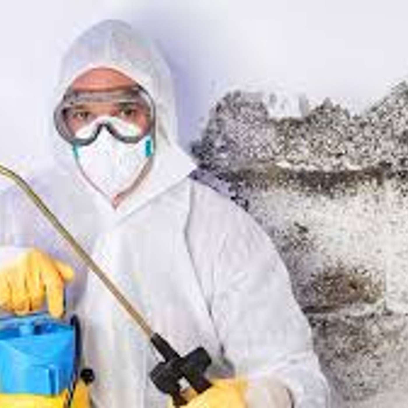 Asbestos Awareness ATL: Protecting Atlanta One Building at a Time