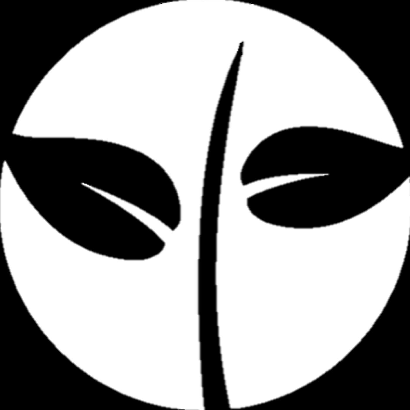 First Baptist Church of Tampa Sermons cover art