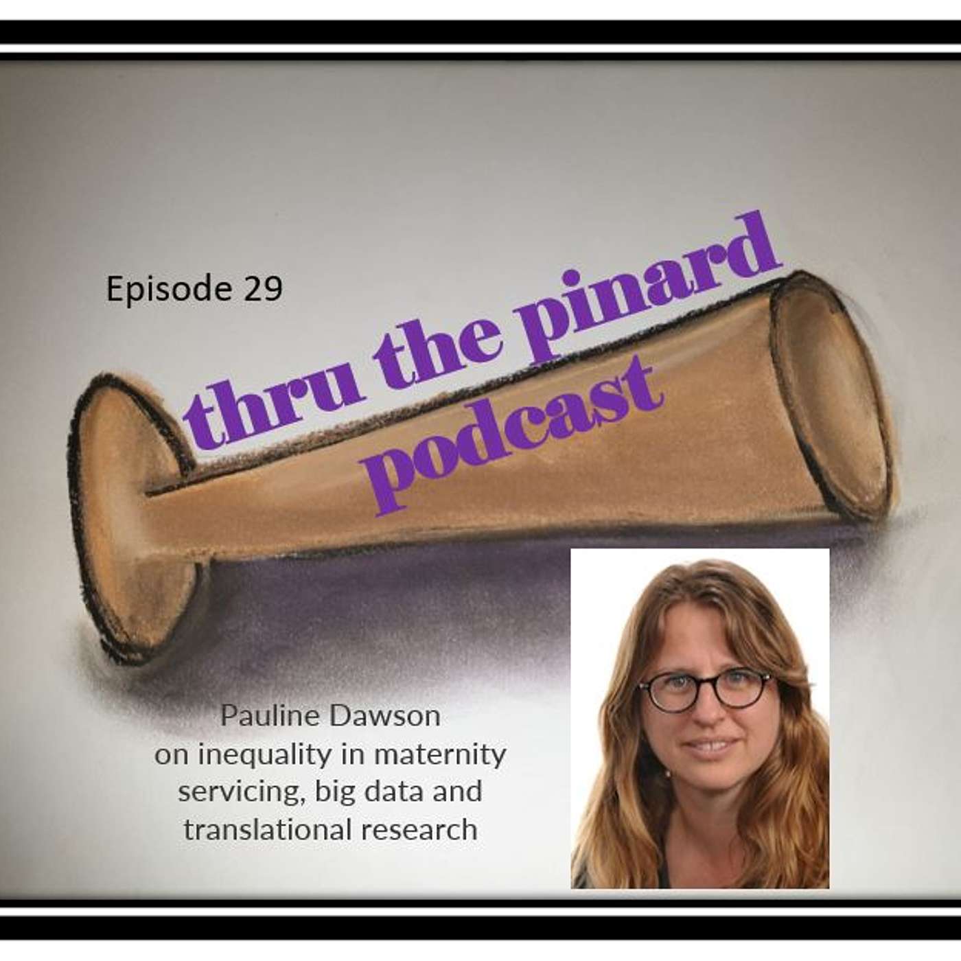 Ep 29 Pauline Dawson on inequality in maternity servicing, big data and translational research
