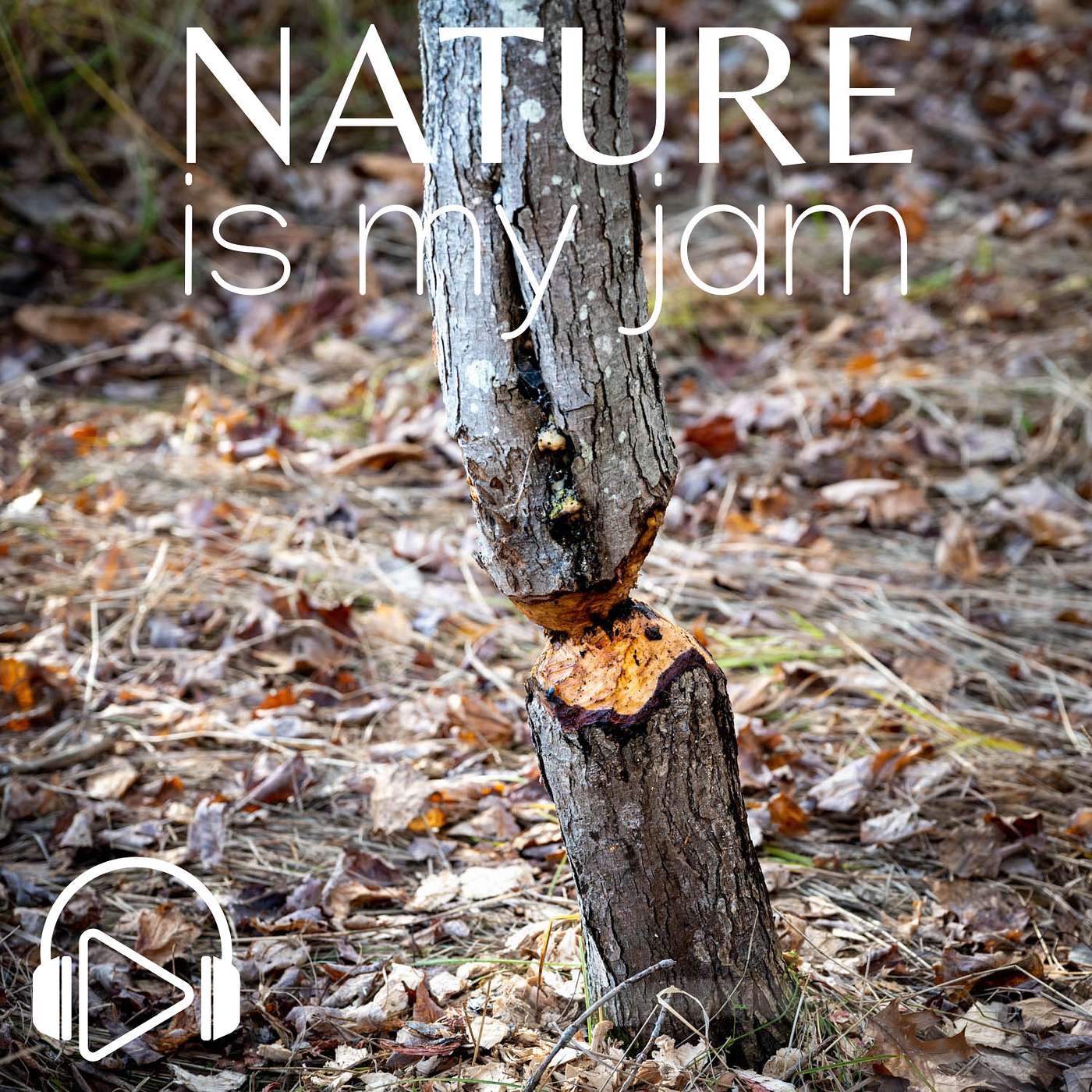 Nature Is My Jam